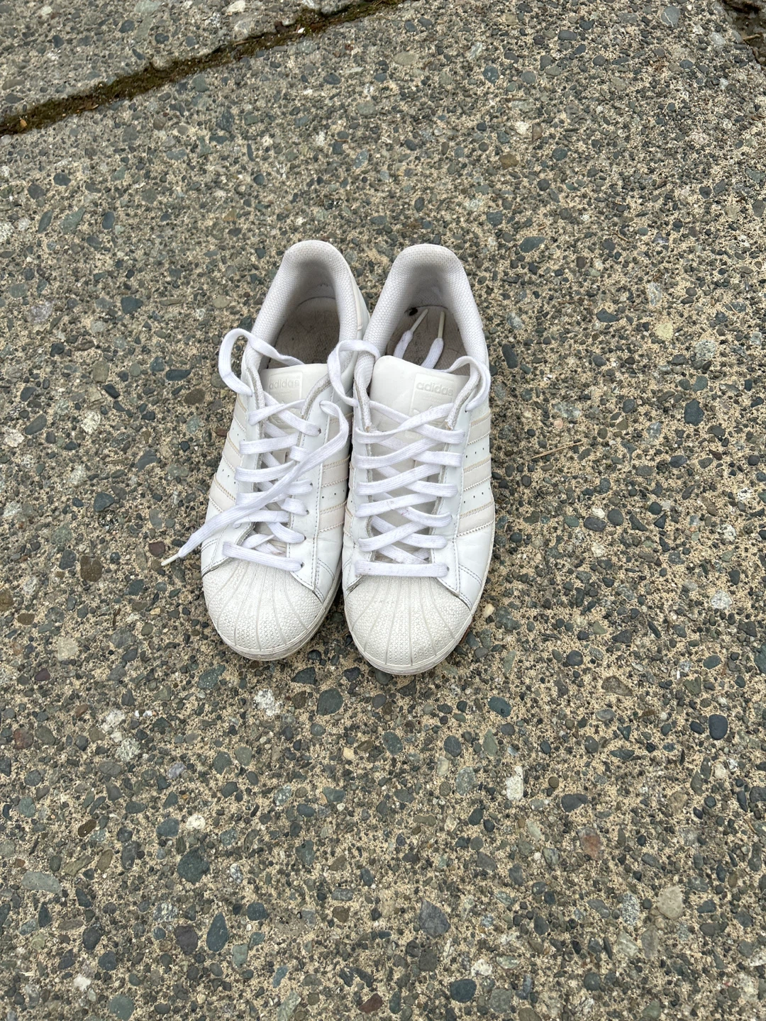 Adidas Superstar Shoes - White