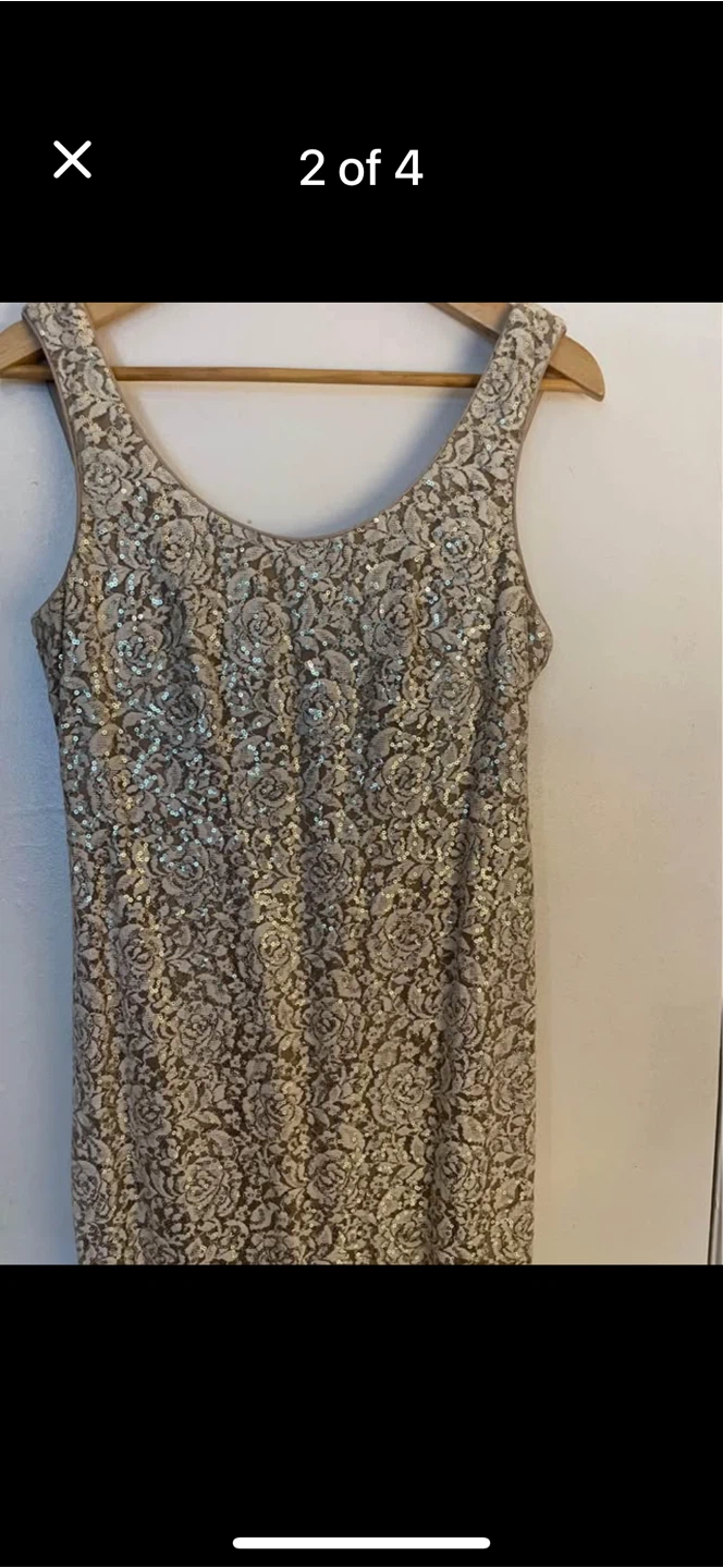 Sparkly Lace Gown