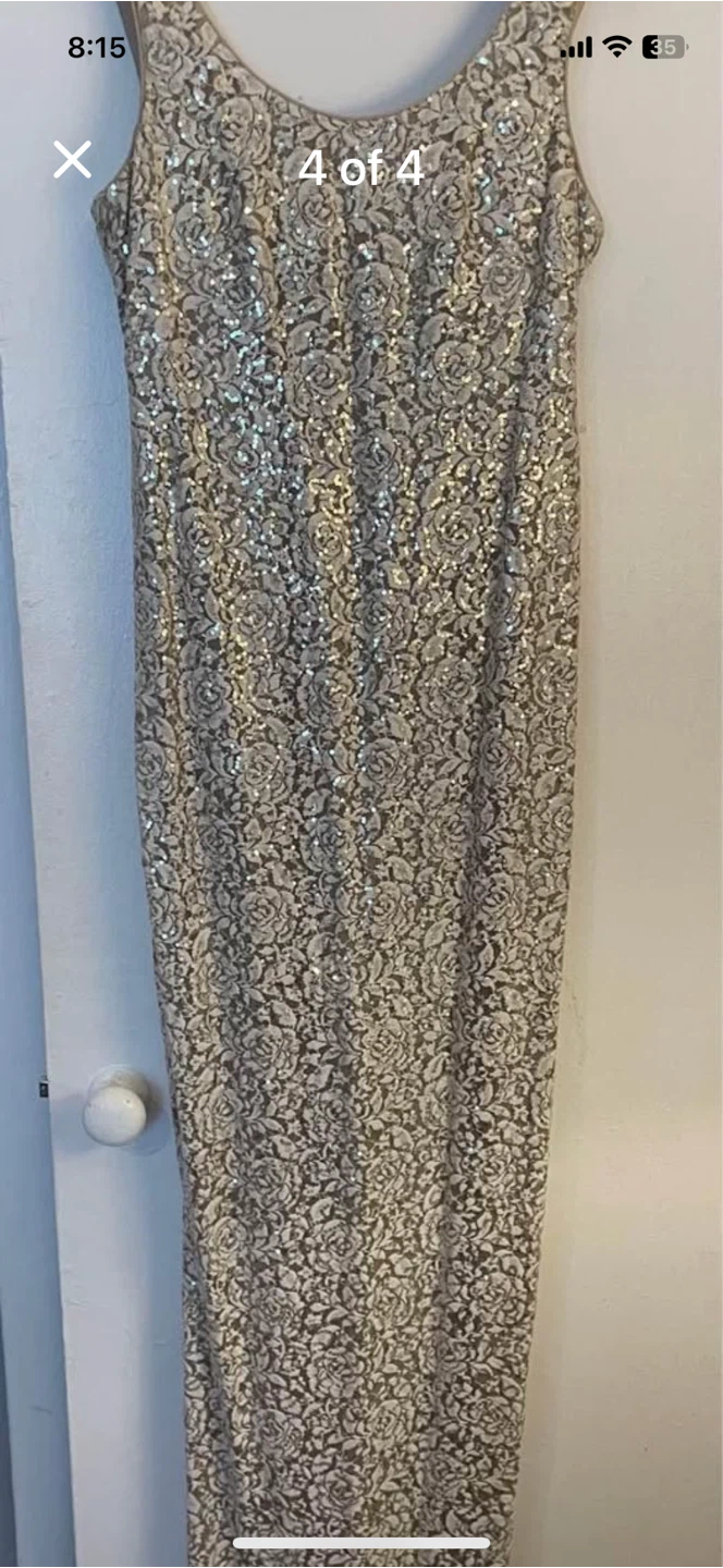 Sparkly Lace Gown - photo 3