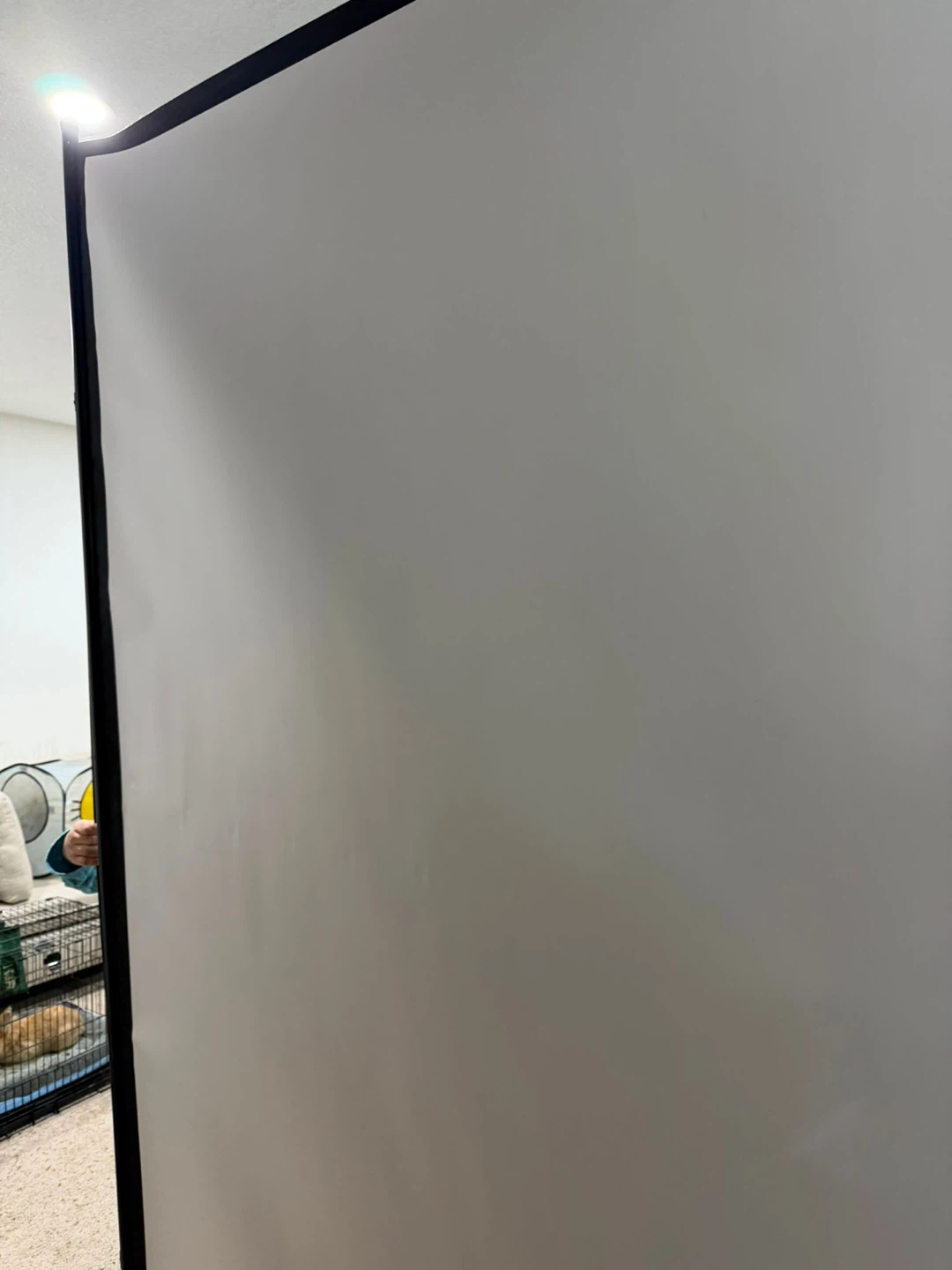 Portable Projection Screen with stand - photo 3
