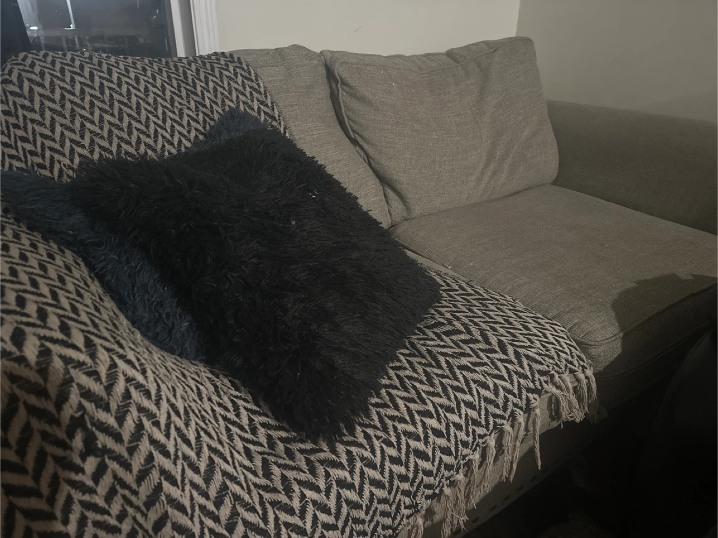 A Brand new sofa