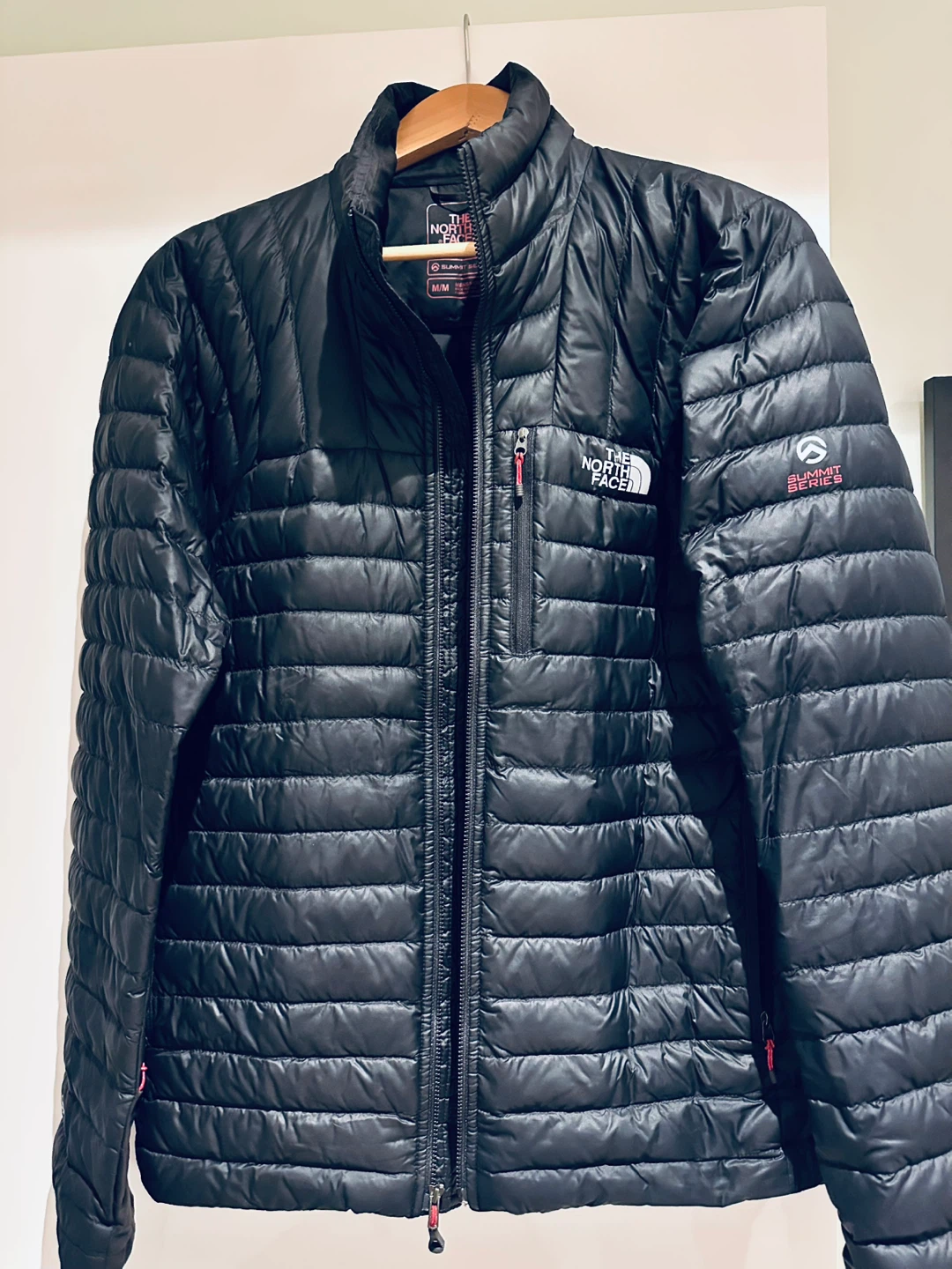 The North Face Summit Series 800 Pro Down Jacket