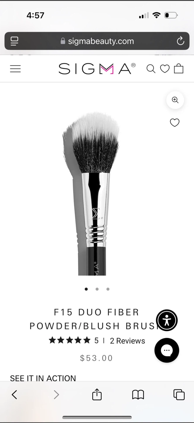 Sigma F15 Duo Fiber Powder/Blush Brush