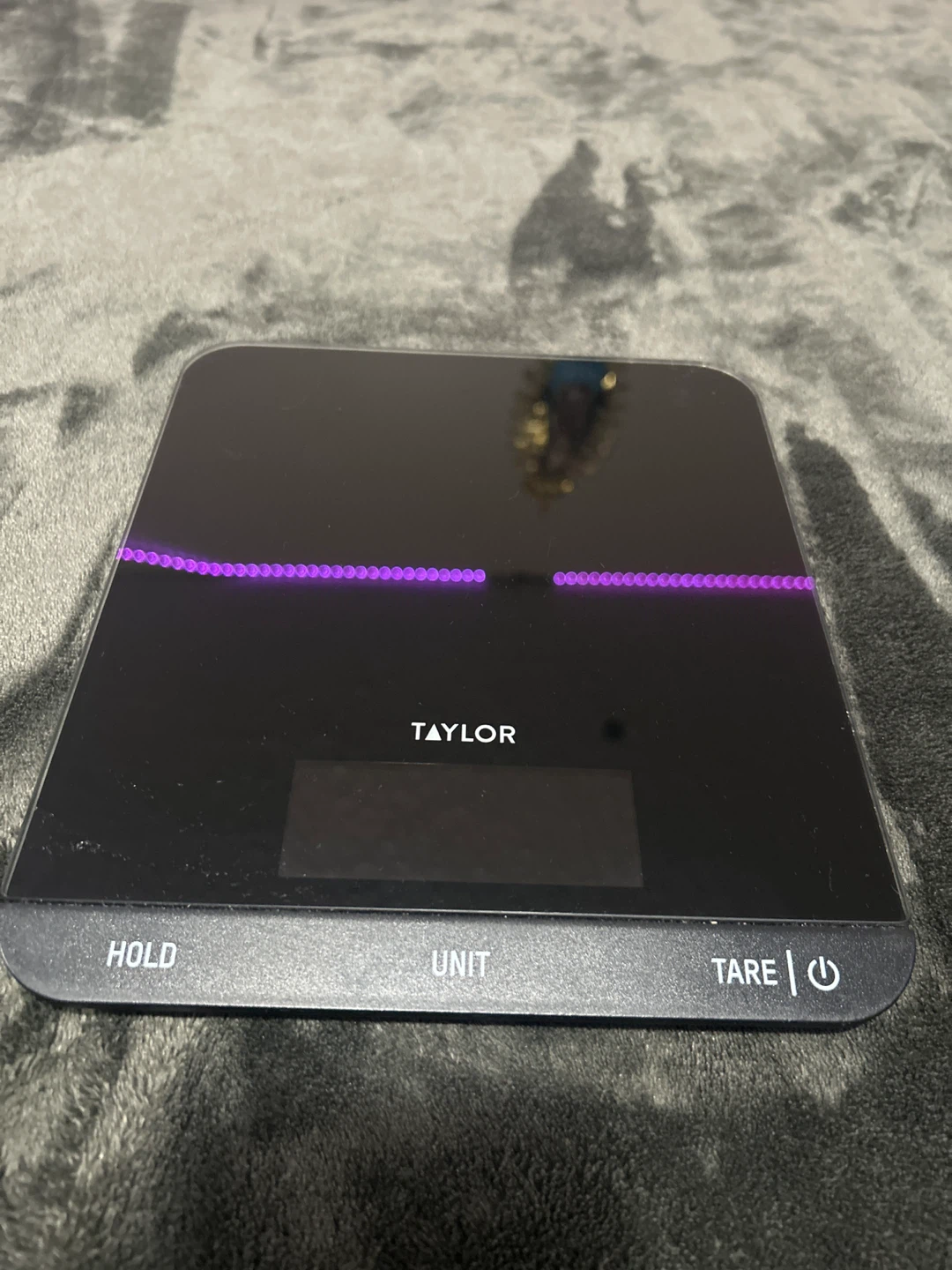 Taylor Digital Kitchen Scale