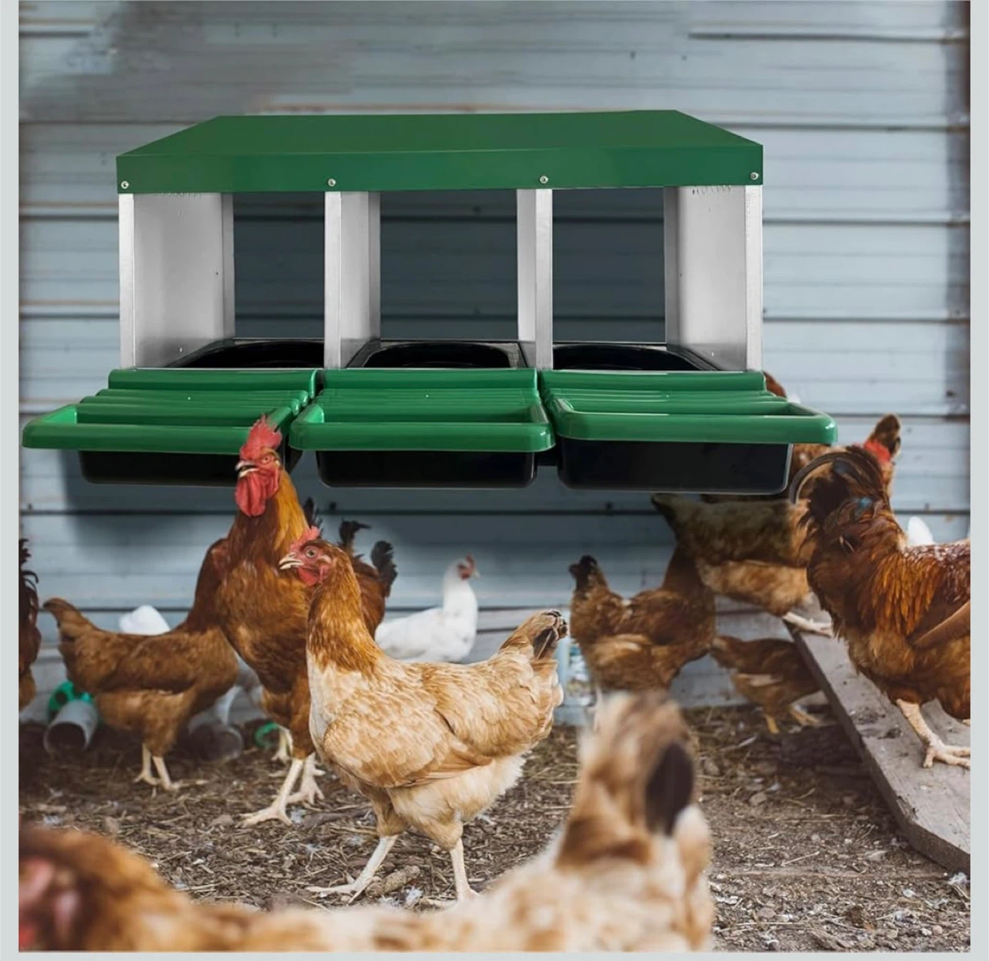 Chicken Nesting Box, 3 Hole Metal Roll Away Nest Box for Chicken - photo 5