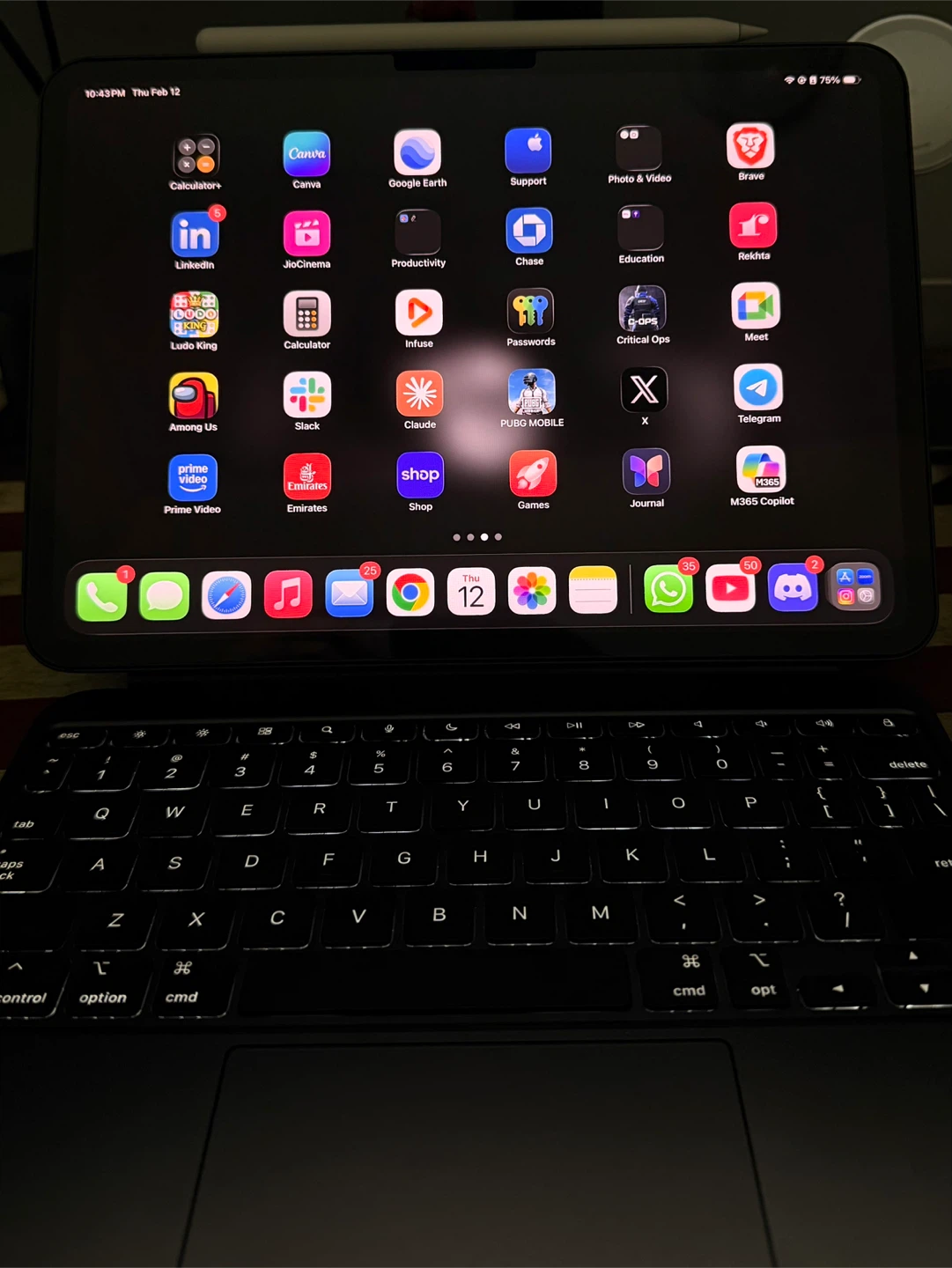 iPad Pro 11” M4 256GB + AppleCare + Case (Like New)