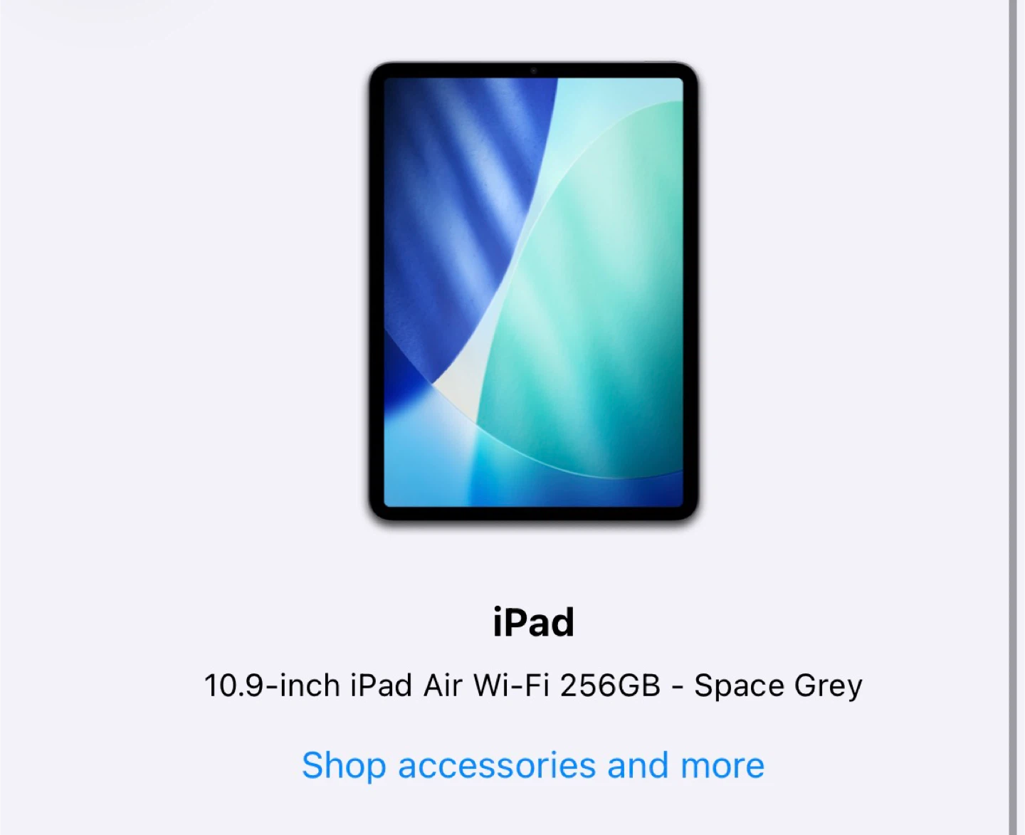 Apple iPad Air 10.9-inch Wi-Fi 256GB - Space Grey - photo 4