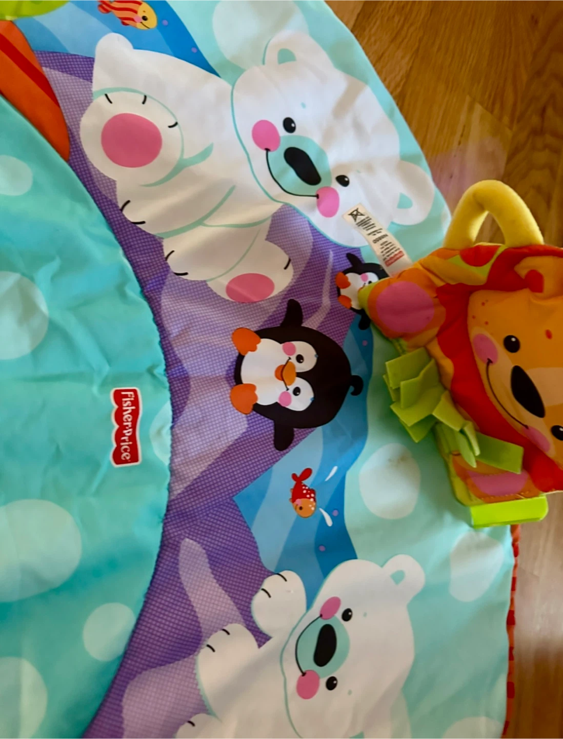 Fisher-Price Baby Activity Play Mat - photo 3