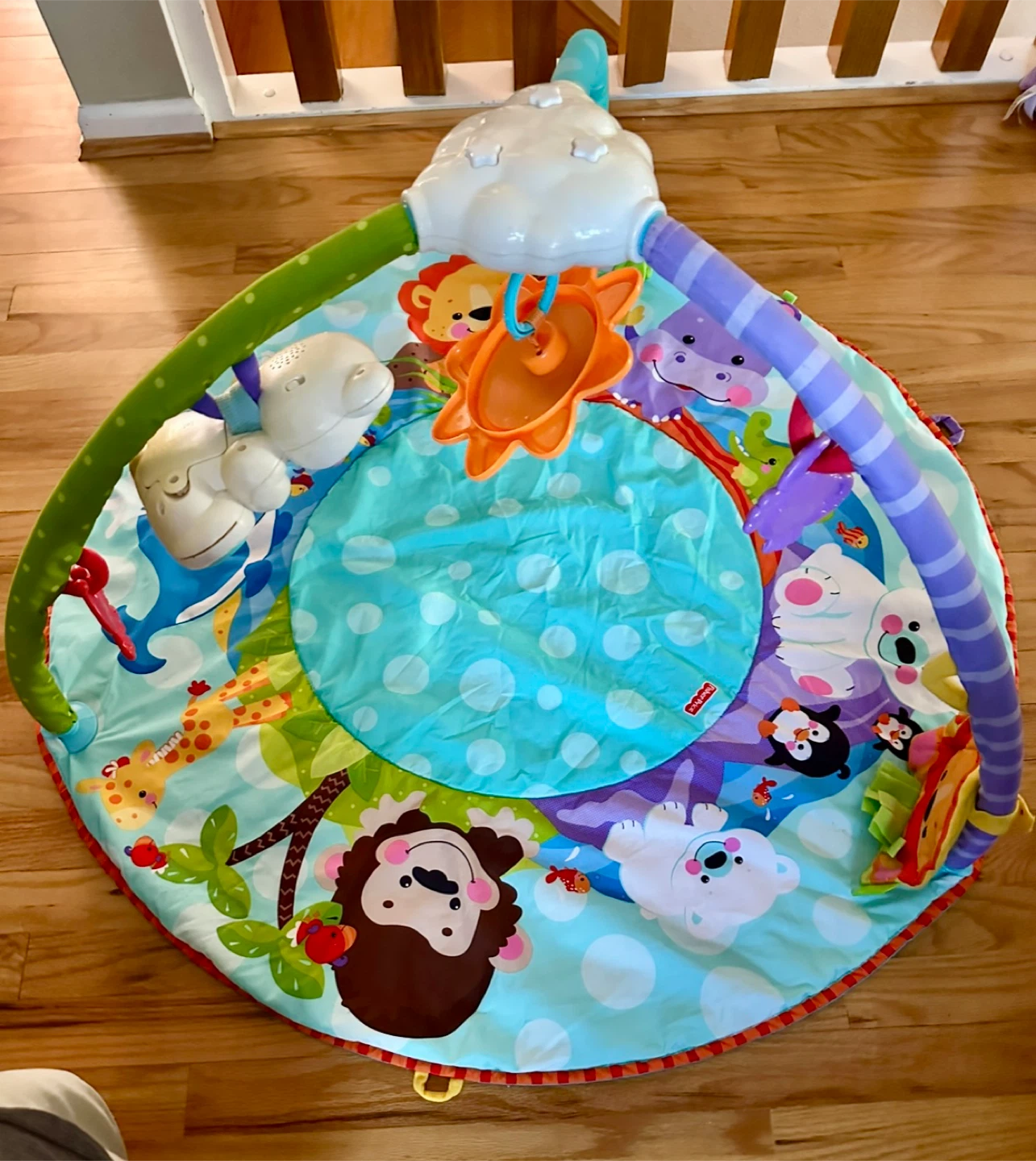 Fisher-Price Baby Activity Play Mat