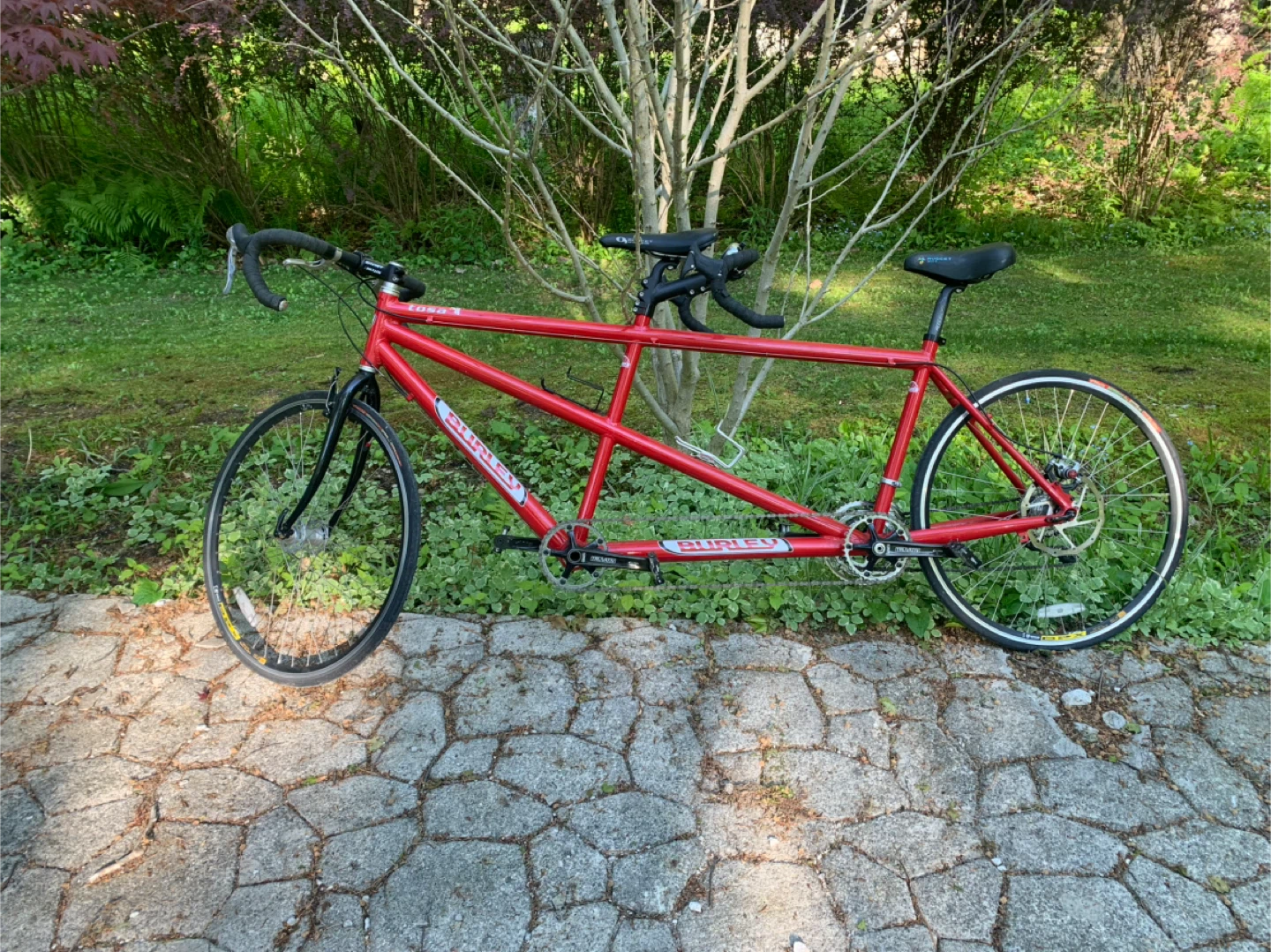 Burley Tandem Bicycle - photo 2