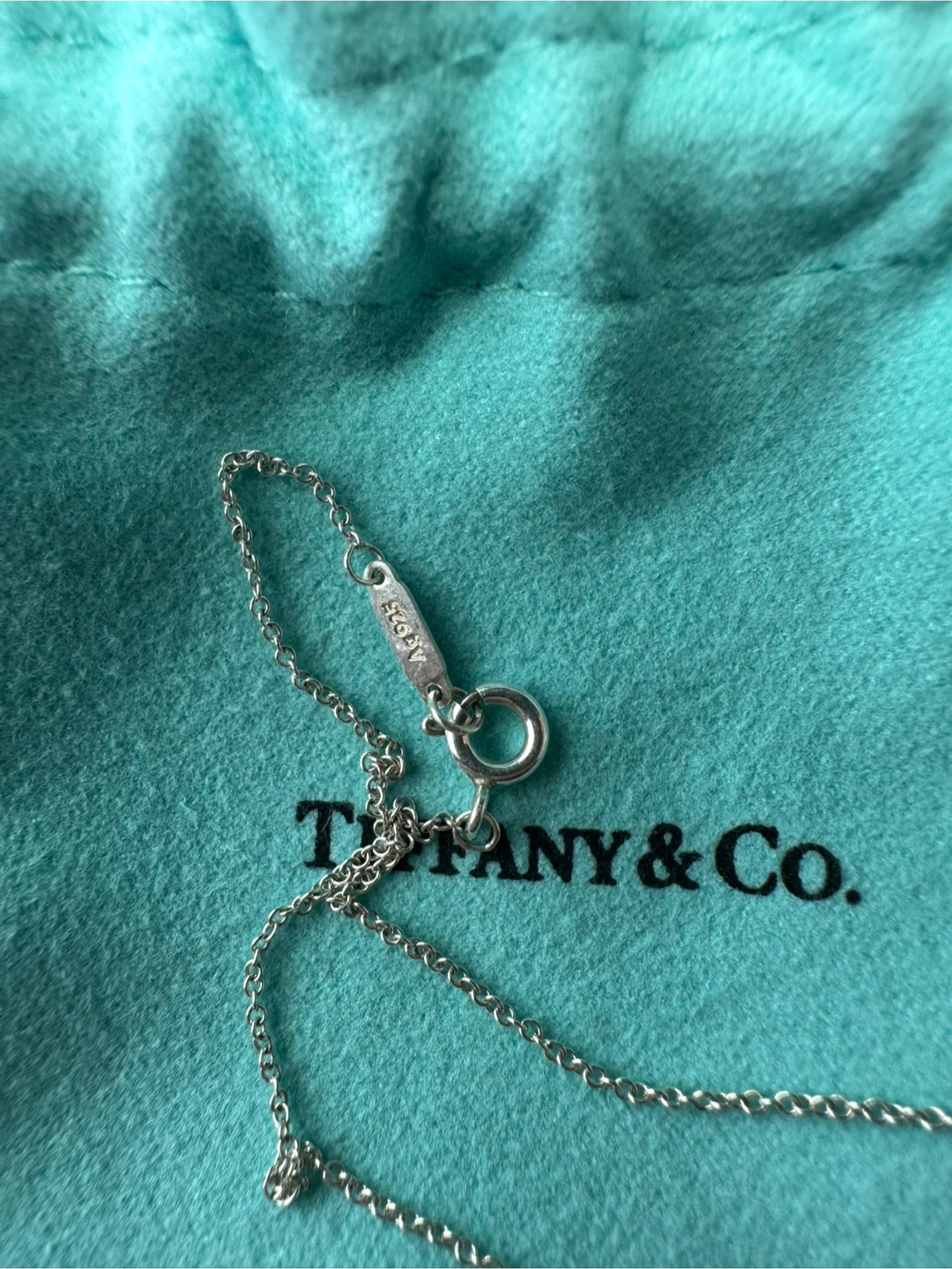 Tiffany & Co. Interlocking Rings Pendant Necklace - photo 4