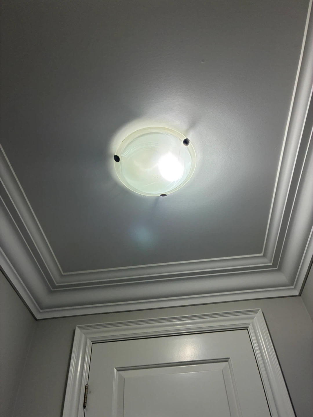 Flush Mount Ceiling Light Fixture
