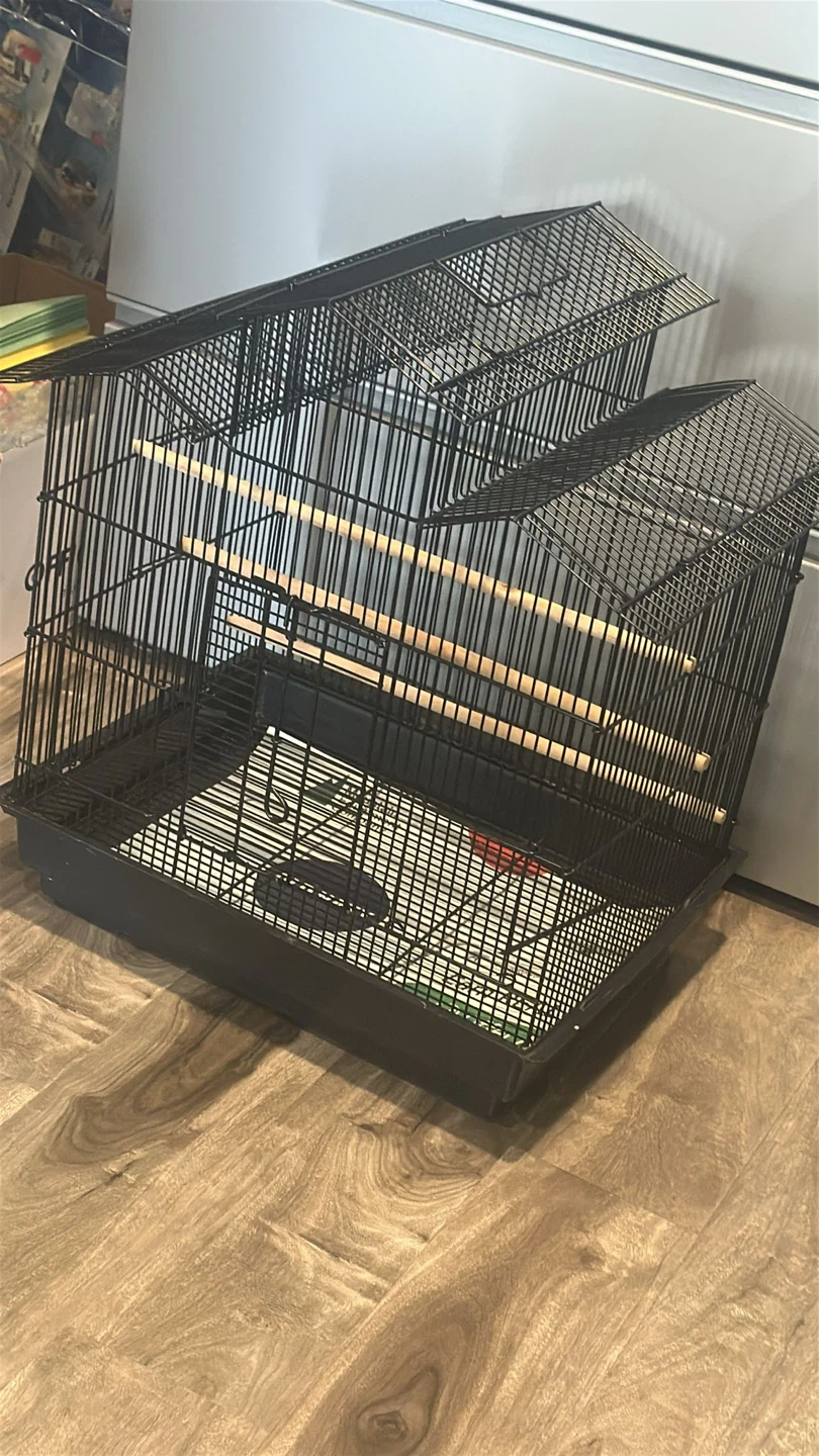 Black Bird Cage
