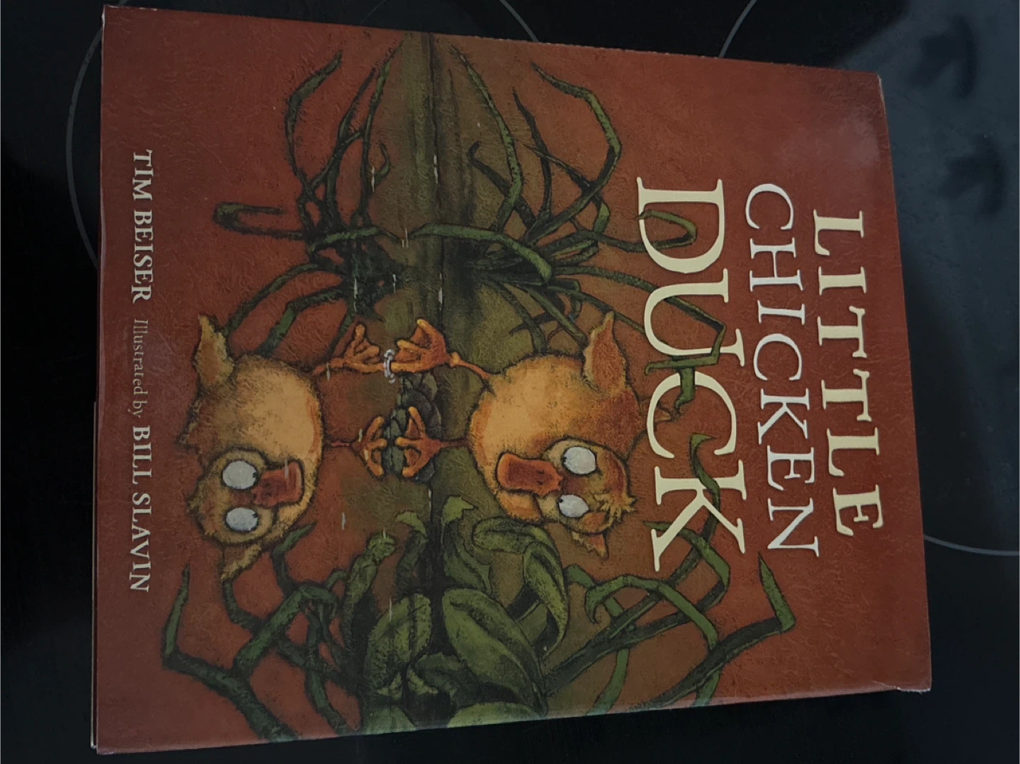 Little Chicken Duck by Tim Beiser, Illustrated by Bill Slavin