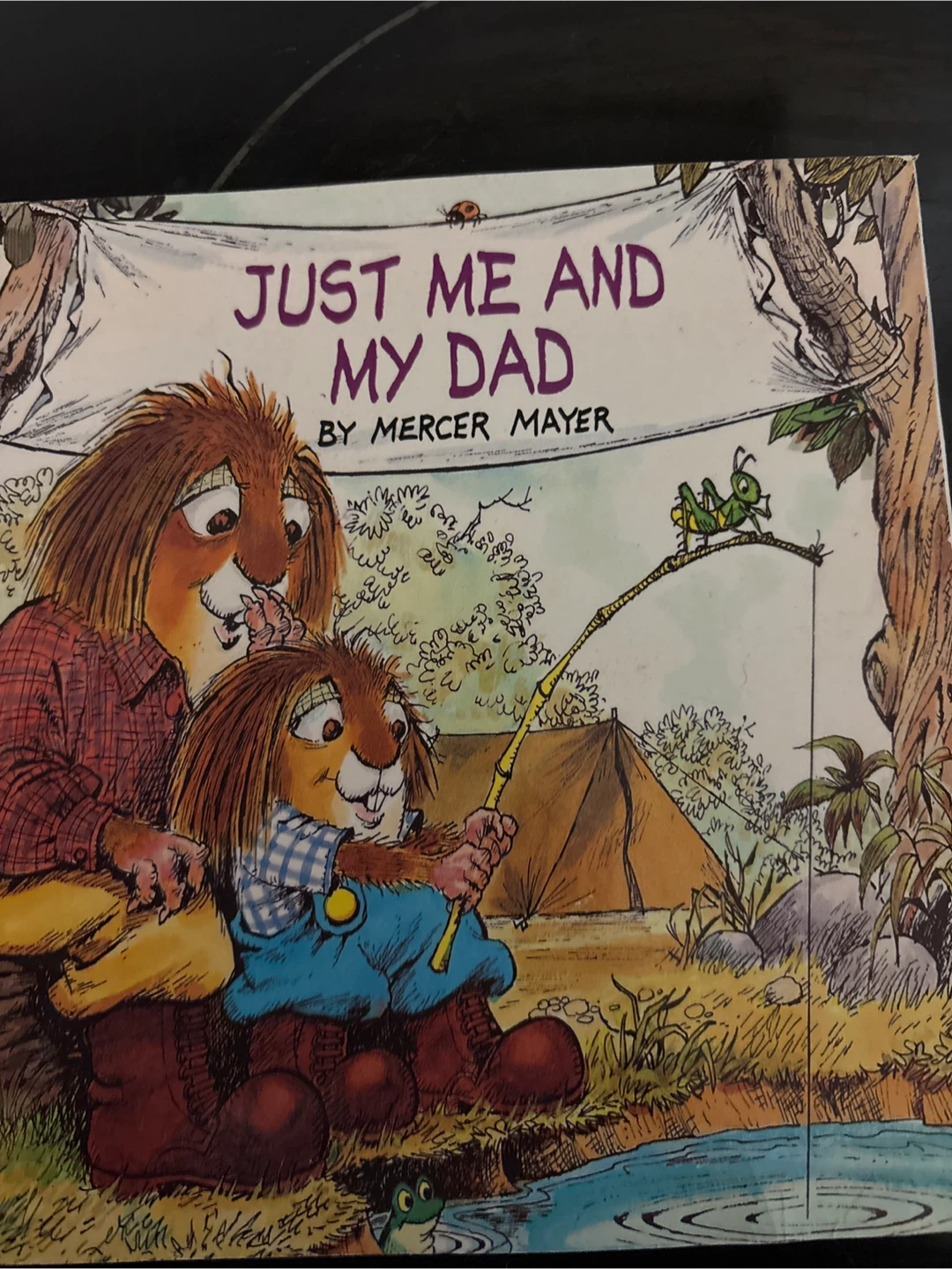 Just Me and My Dad by Mercer Mayer Children's Book