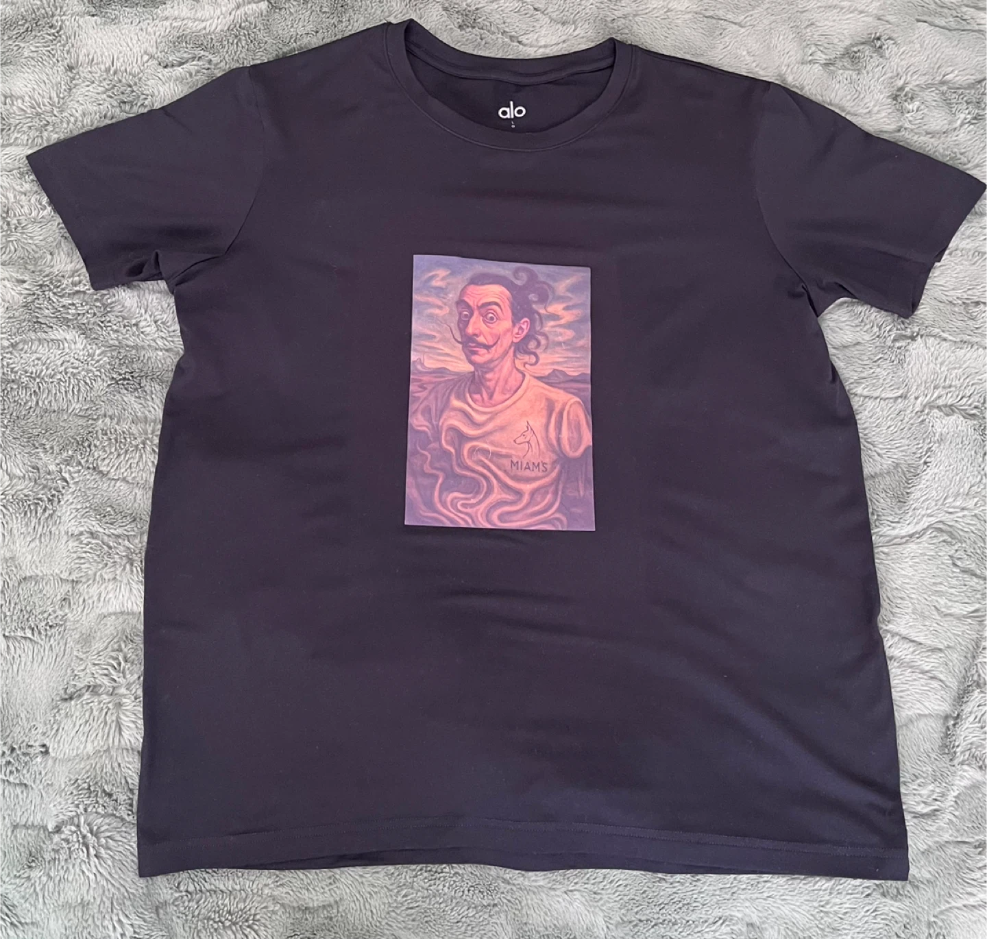 Alo Graphic T-Shirt