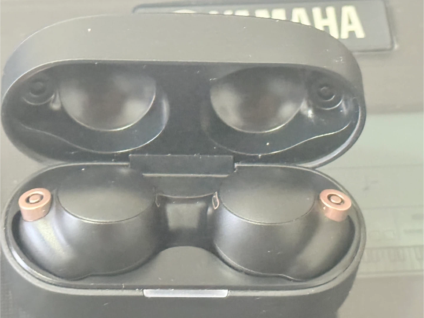 Sony WF-1000XM4 Wireless Earbuds Case - photo 4