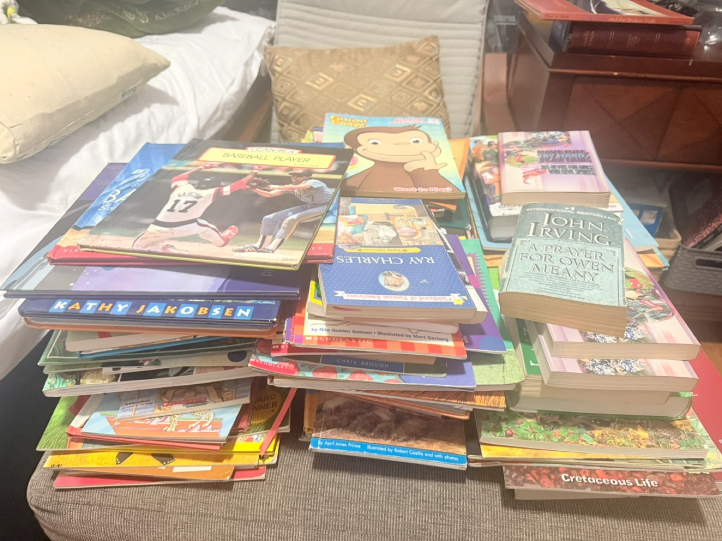Assorted Children's and Adult Books