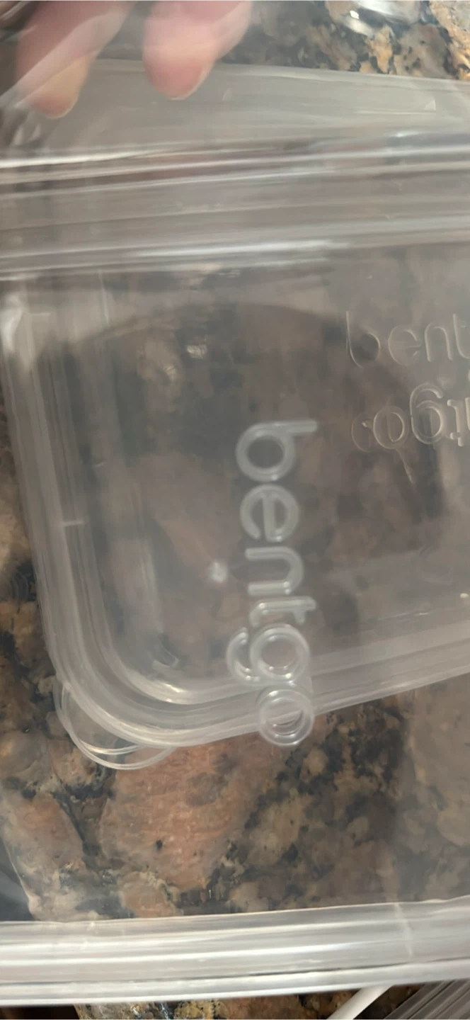 Bentgo Prep Meal Prep Containers - Floral Pastels - photo 2