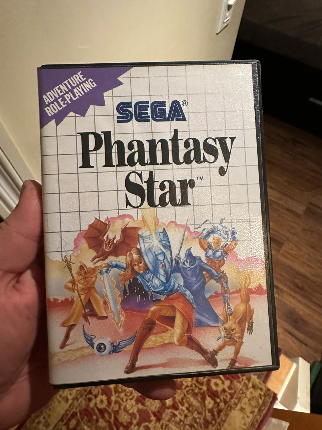 Phantasy star cib with manual and poster for Sega master system