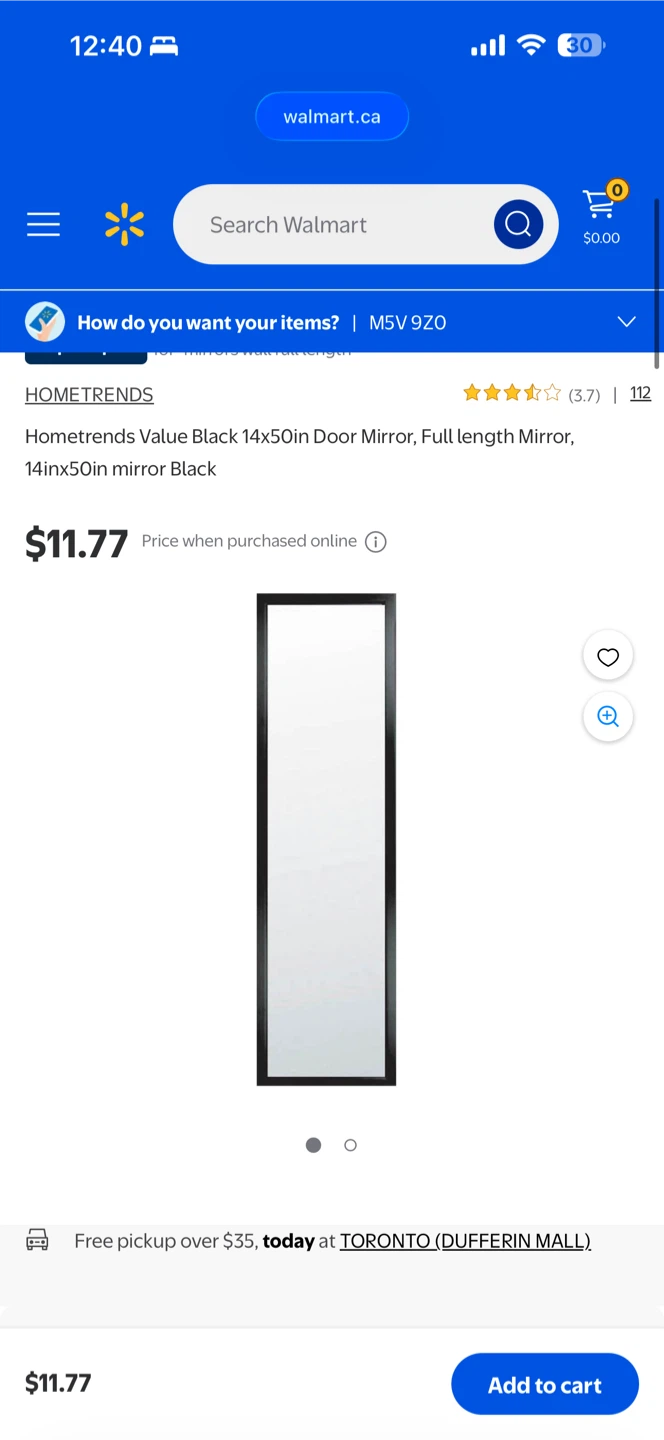HOMETRENDS Value Black 14x50in Door Mirror