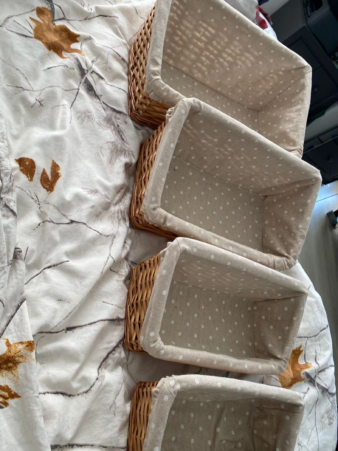 Set of 4 Woven Baskets with Polka Dot Liners