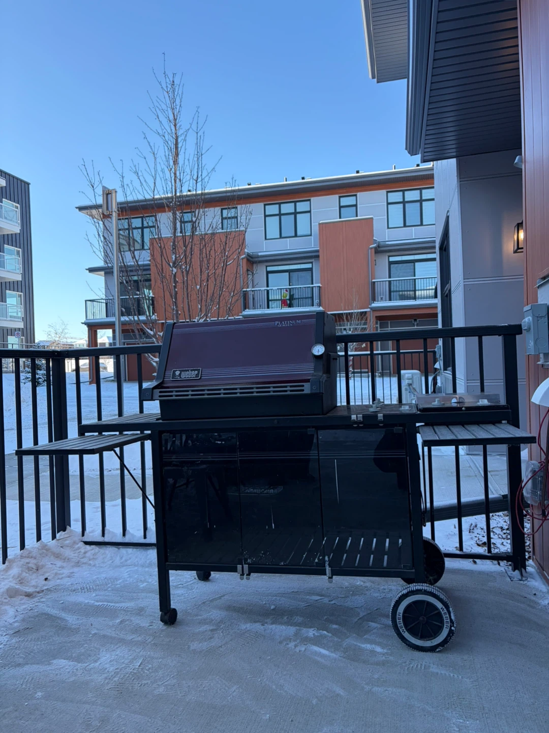 Weber Platinum Series Gas Grill with Side Burner - photo 2