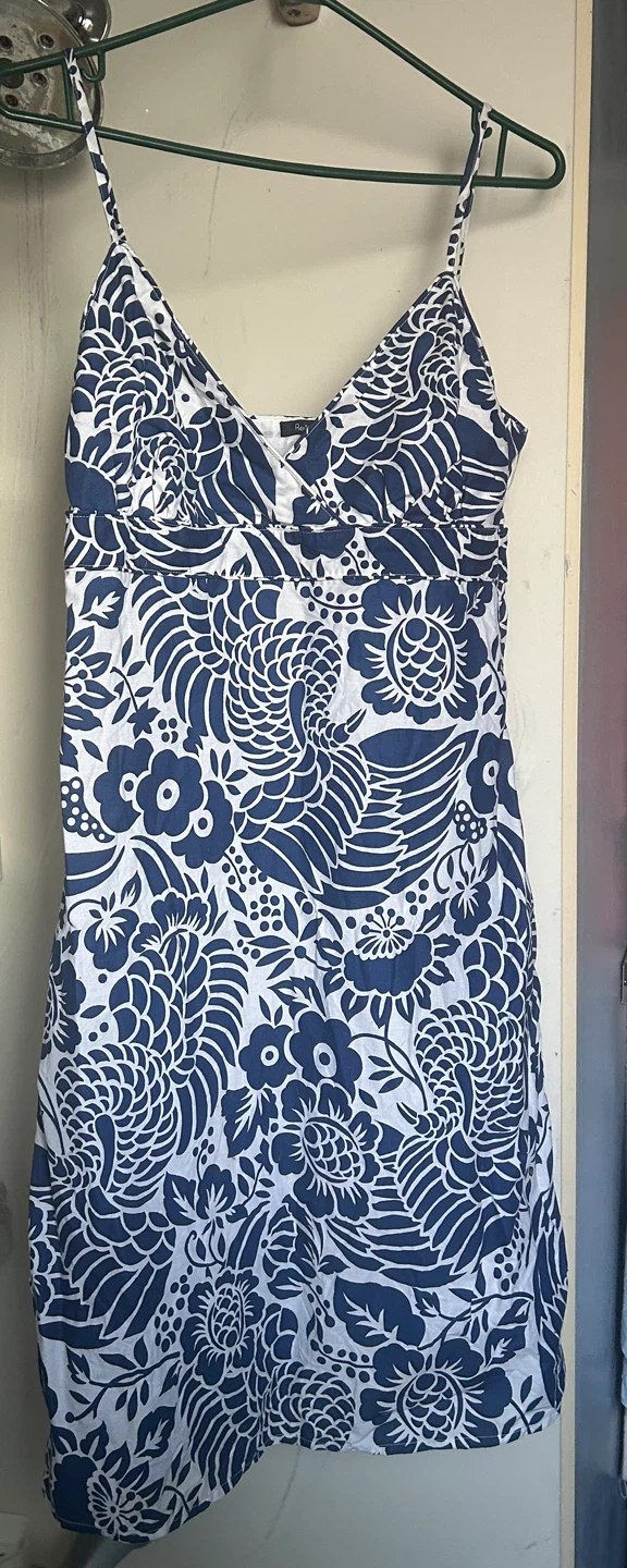 Blue and White Floral Dress