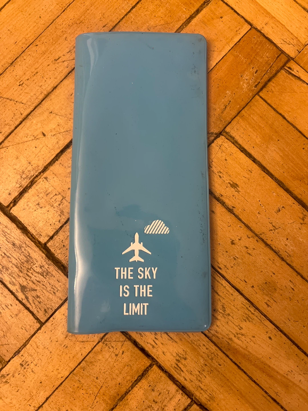 Blue Travel Document Holder