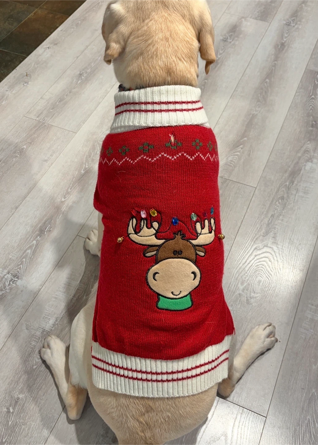 Red Reindeer Christmas Dog Sweater - photo 4