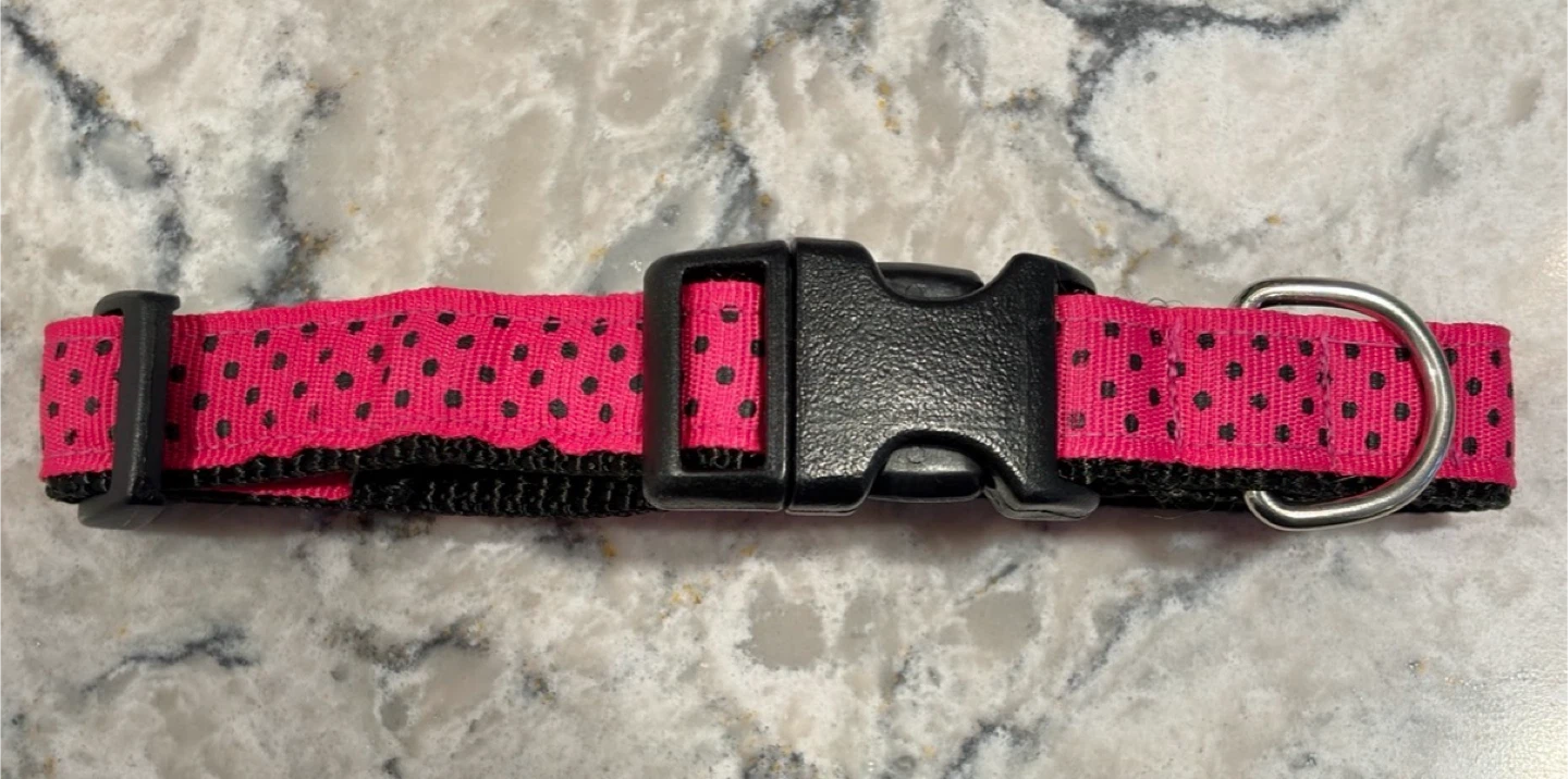 Plastic Clip Dog Collars (Size S) ($4 each) - photo 3