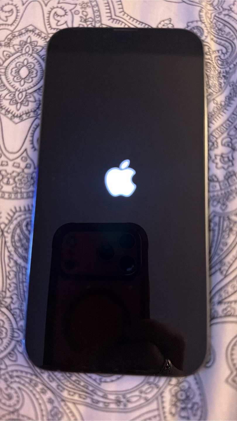 iPhone 13 Pro - Broken Back - photo 3
