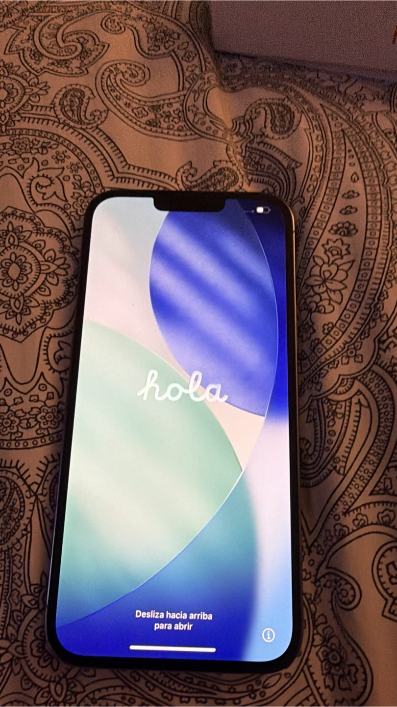 iPhone 13 Pro - Broken Back
