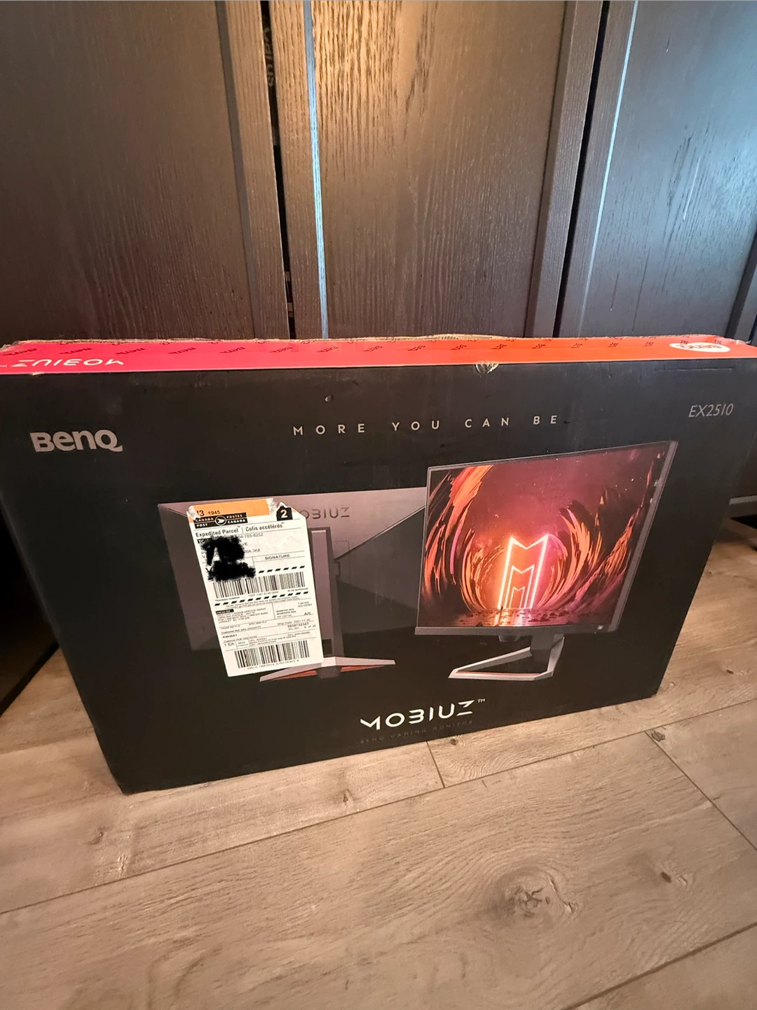 BenQ MOBIUZ EX2510 Gaming Monitor
