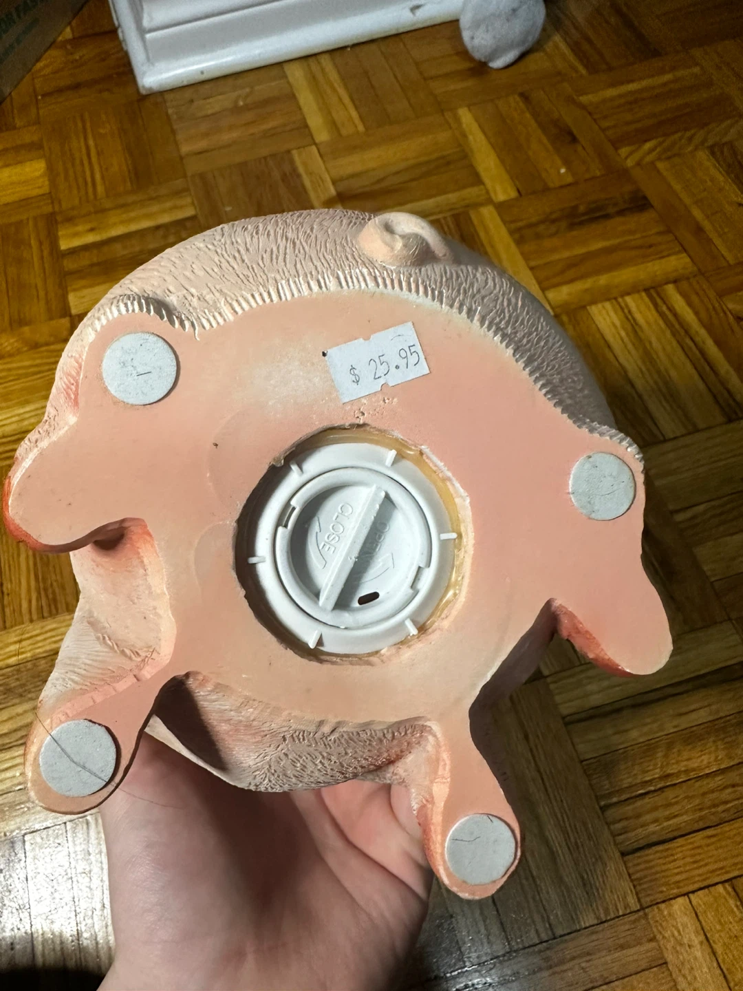 Cute Piggy Coin Bank - photo 3