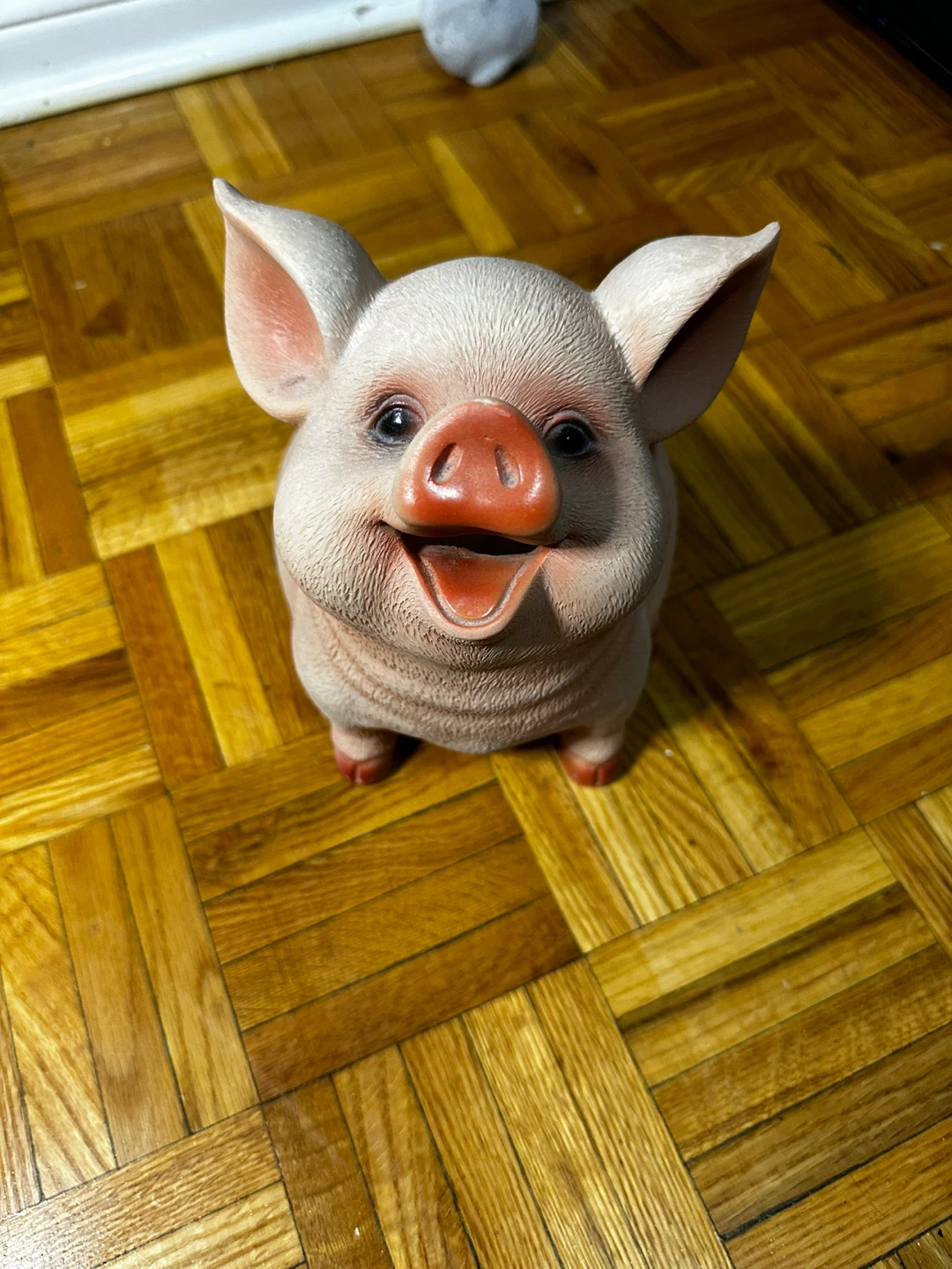Cute Piggy Coin Bank