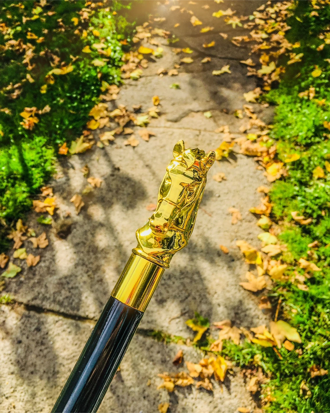 Pasotti Golden Horse Umbrella - photo 4