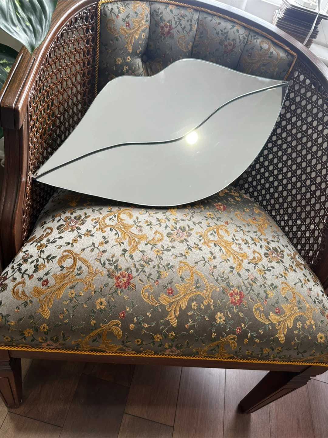 Lips Shaped Mirror