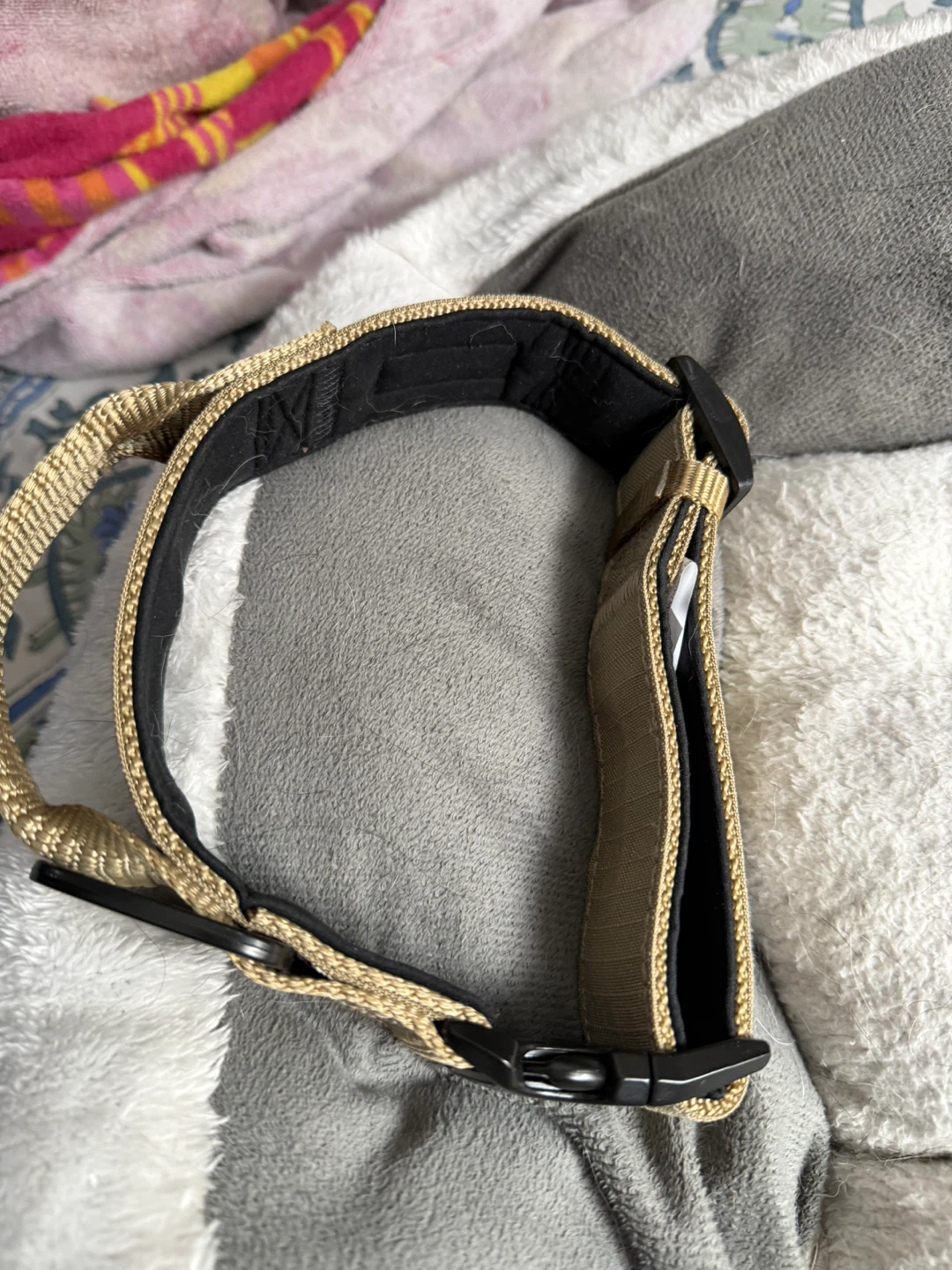 KONG Dog Collar for medium-Large - photo 2