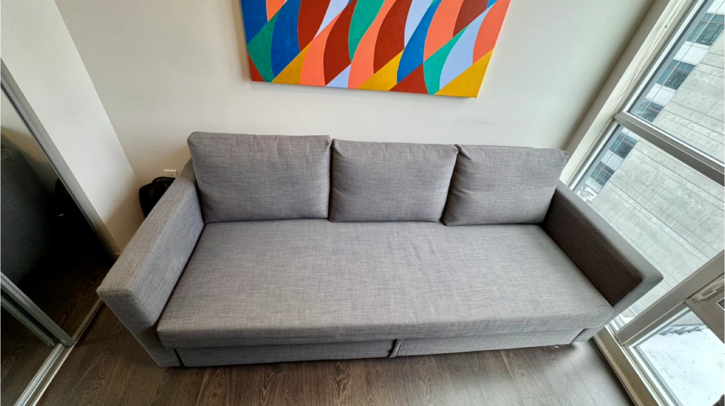 (Moving sale) ikea sofabed FRIHETEN - photo 2