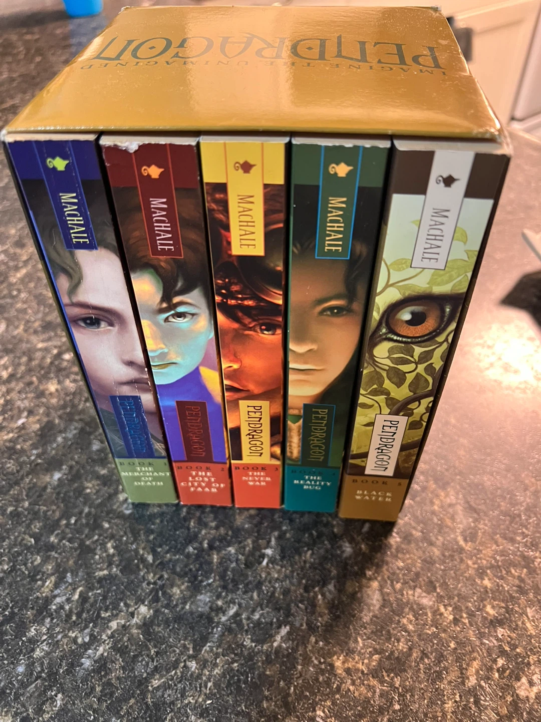 Pendragon Series Box Set by D.J. MacHale - photo 2