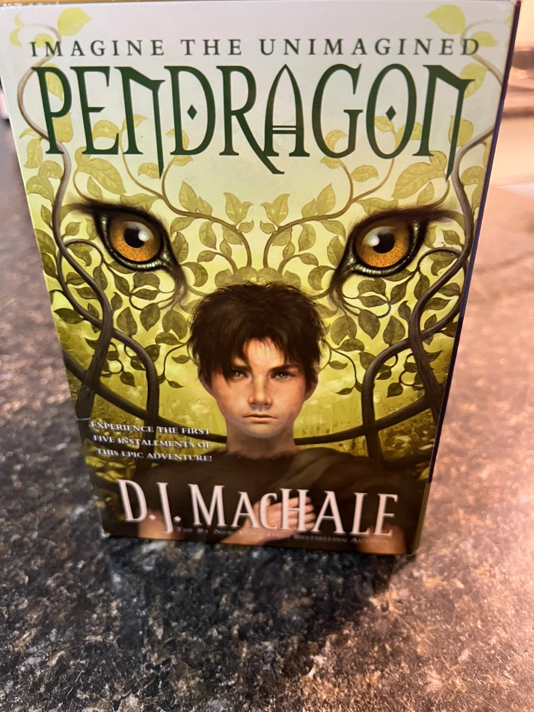 Pendragon Series Box Set by D.J. MacHale