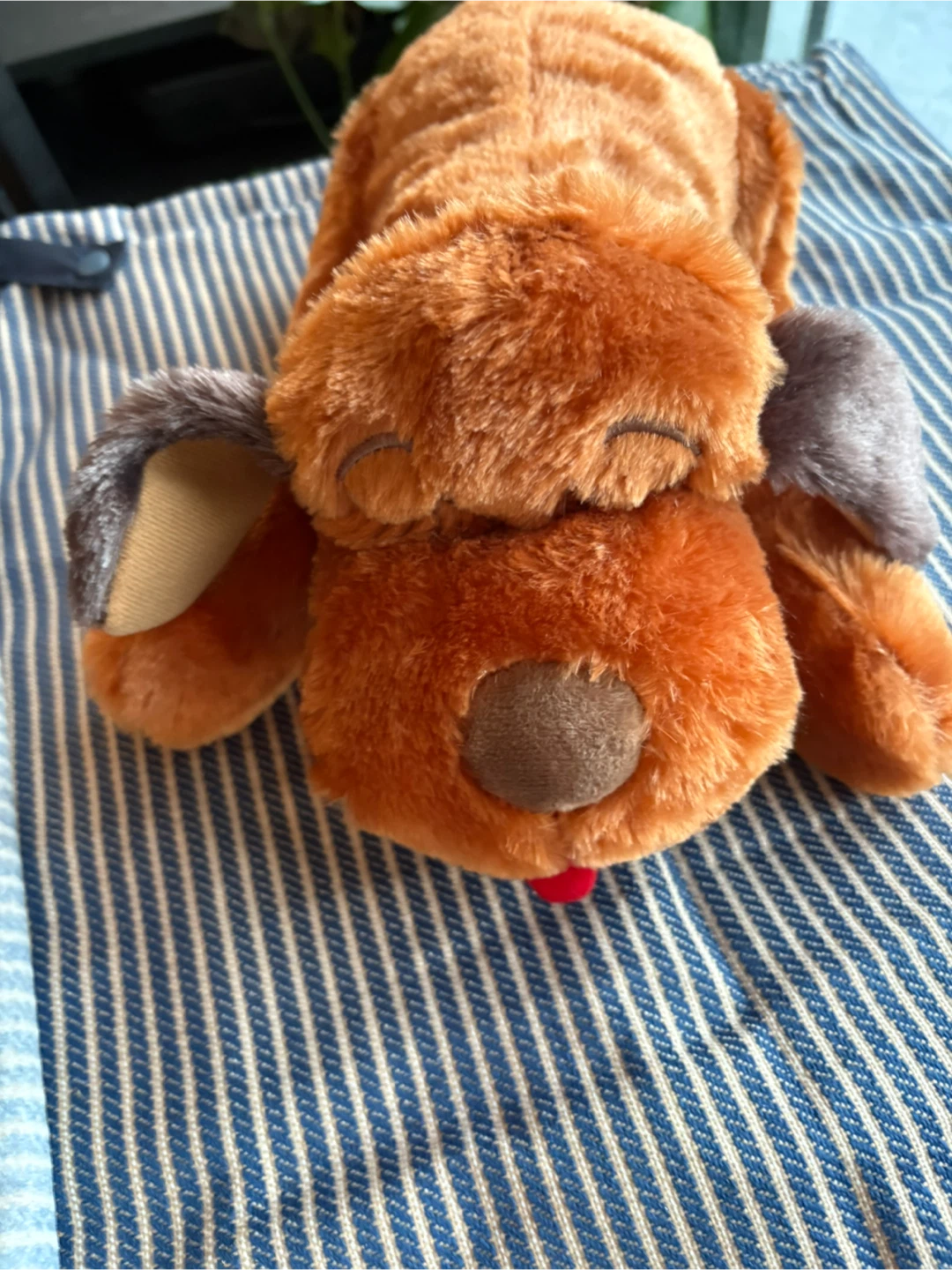 Anxiety and Calming Aid for Puppy - photo 2