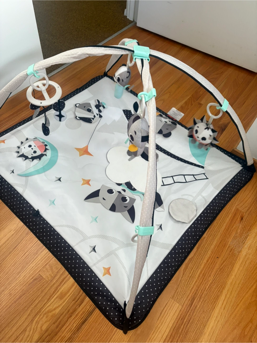 Baby Activity Gym