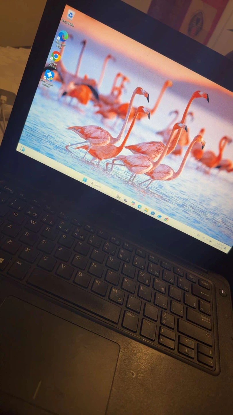 Dell Latitude 3380 - photo 3