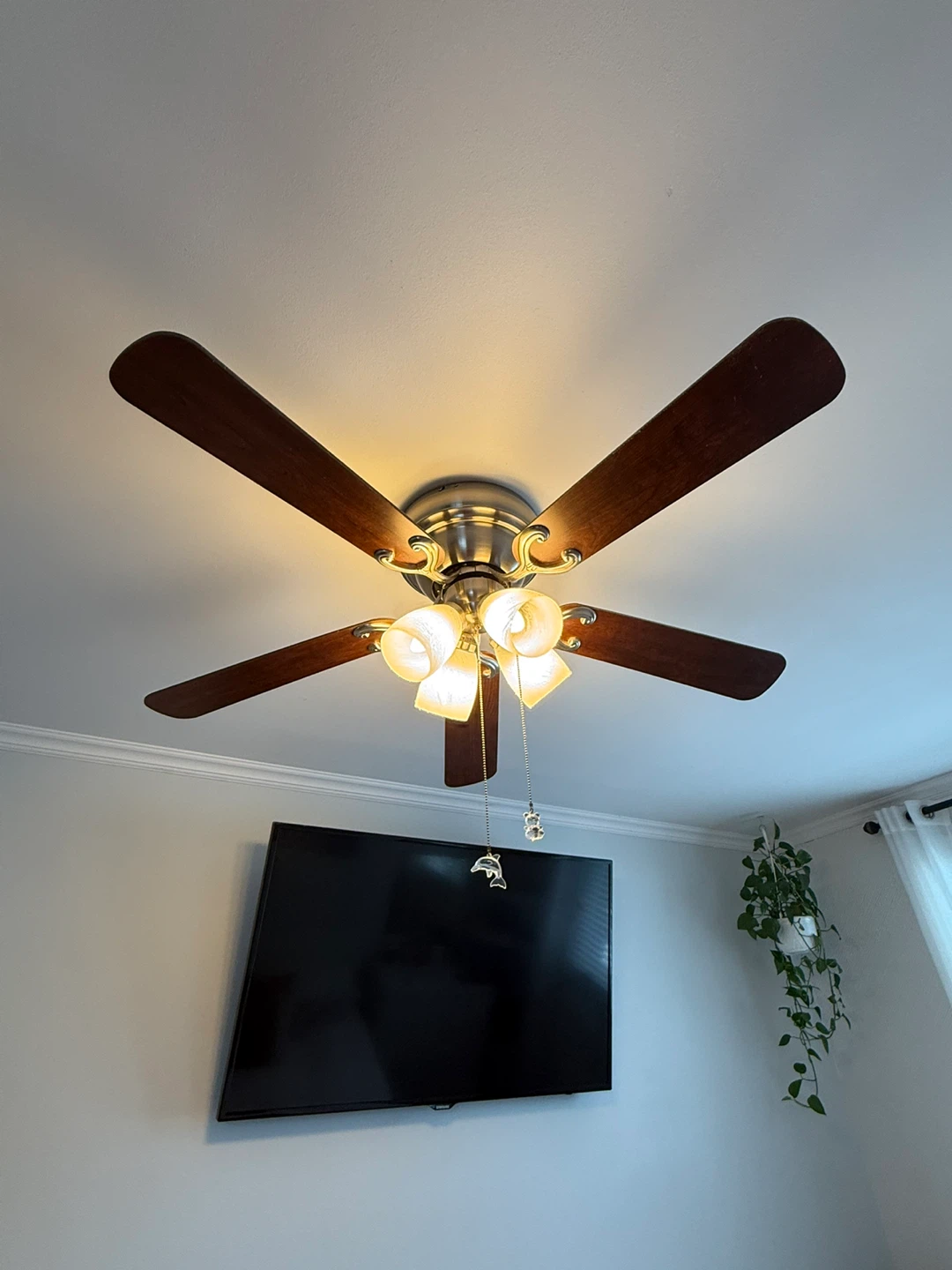 Ceiling Fan with Lights - photo 5