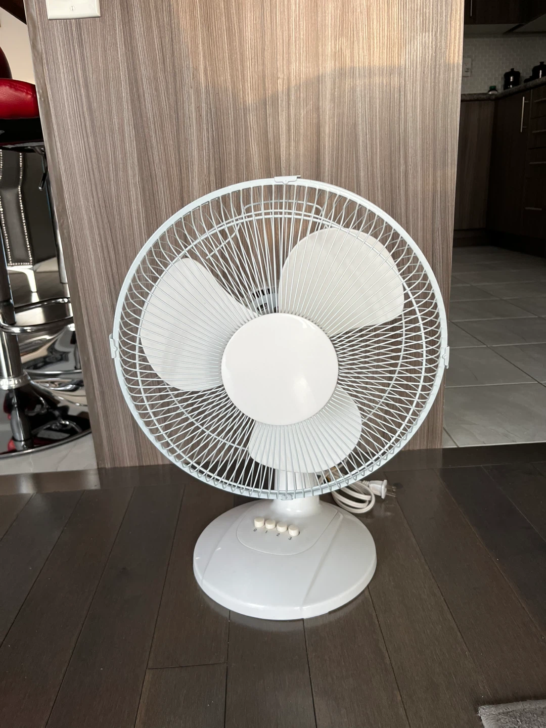 Small White Fan (19”)