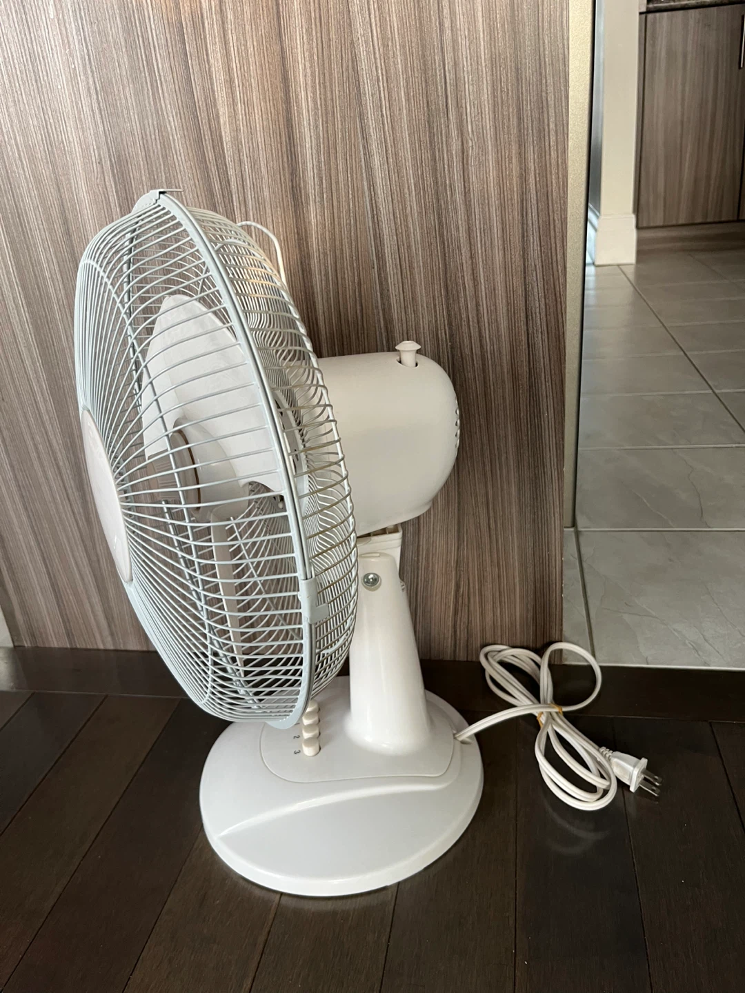 Small White Fan (19”) - photo 2