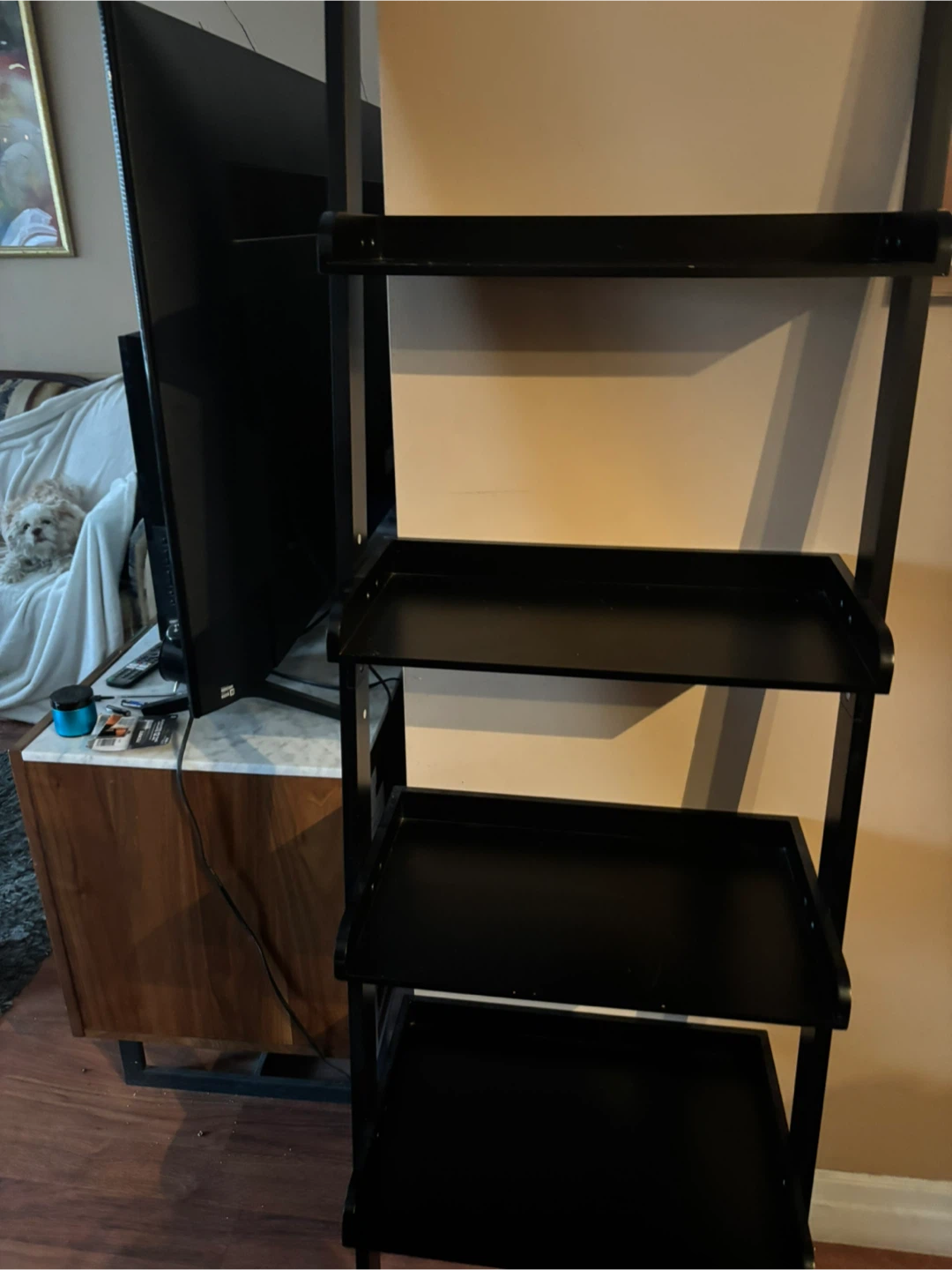 Black 4-Tier Ladder Shelf
