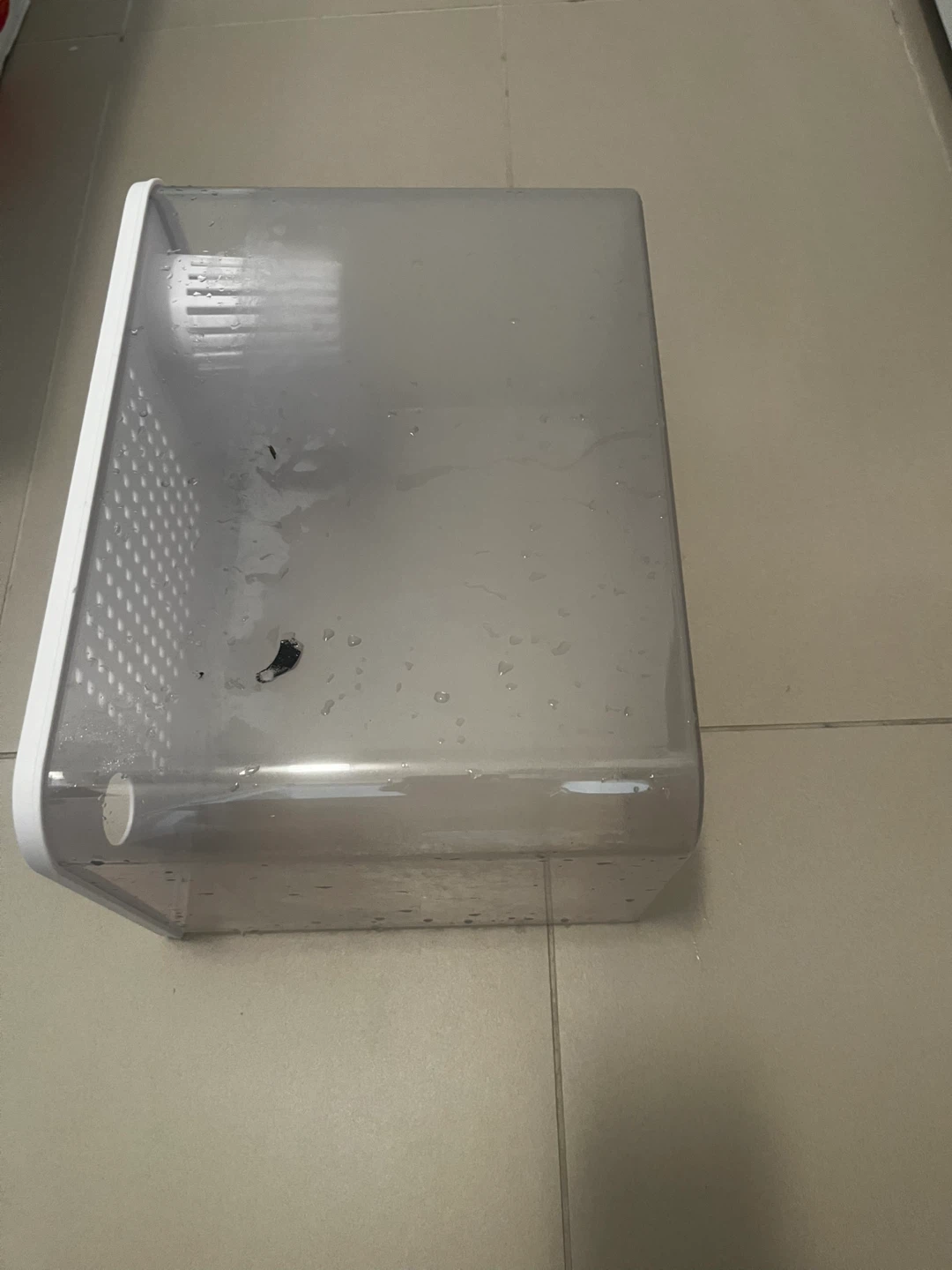 3 Gallon Fish Tank - photo 2
